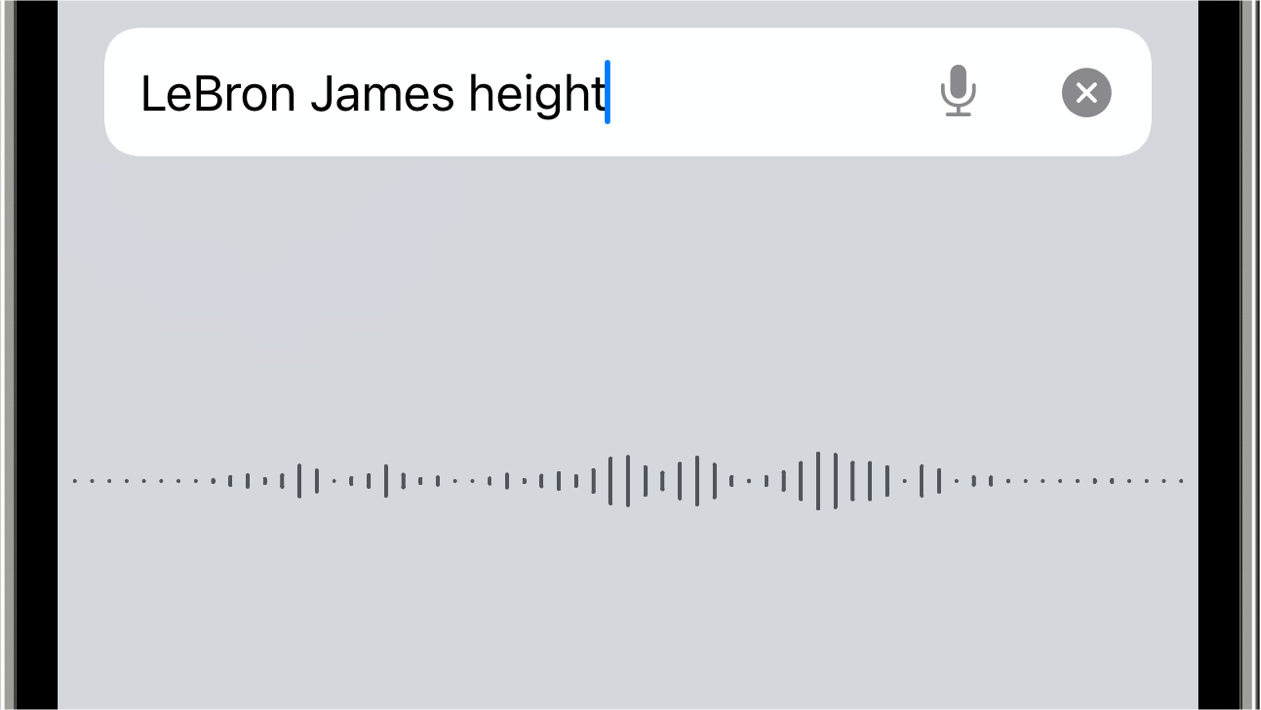 Safari Voice Search