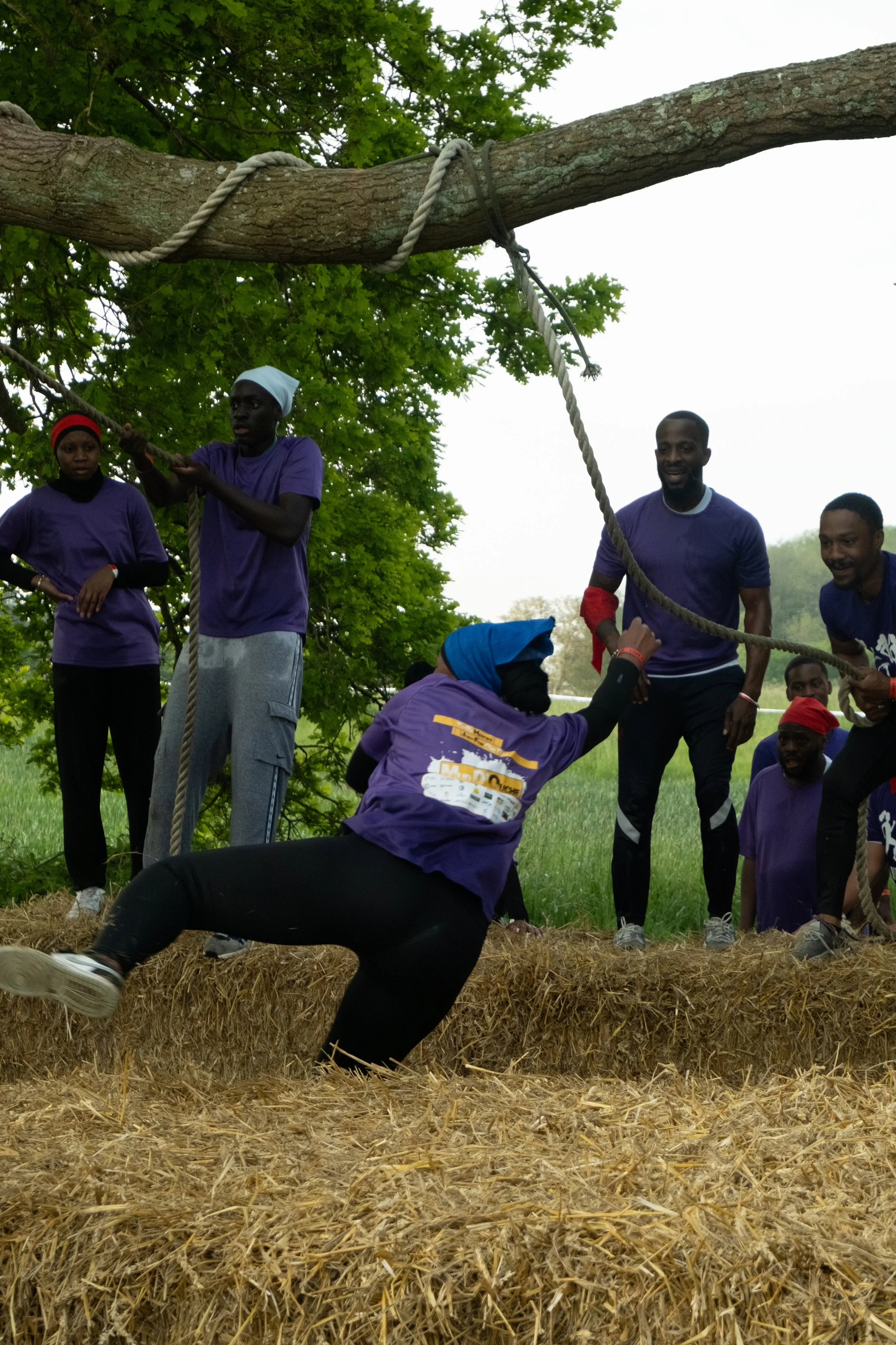 Un groupe de personnes participe à une activité de tir à la corde à l'extérieur, sous un arbre, avec des treillis en paille au sol.