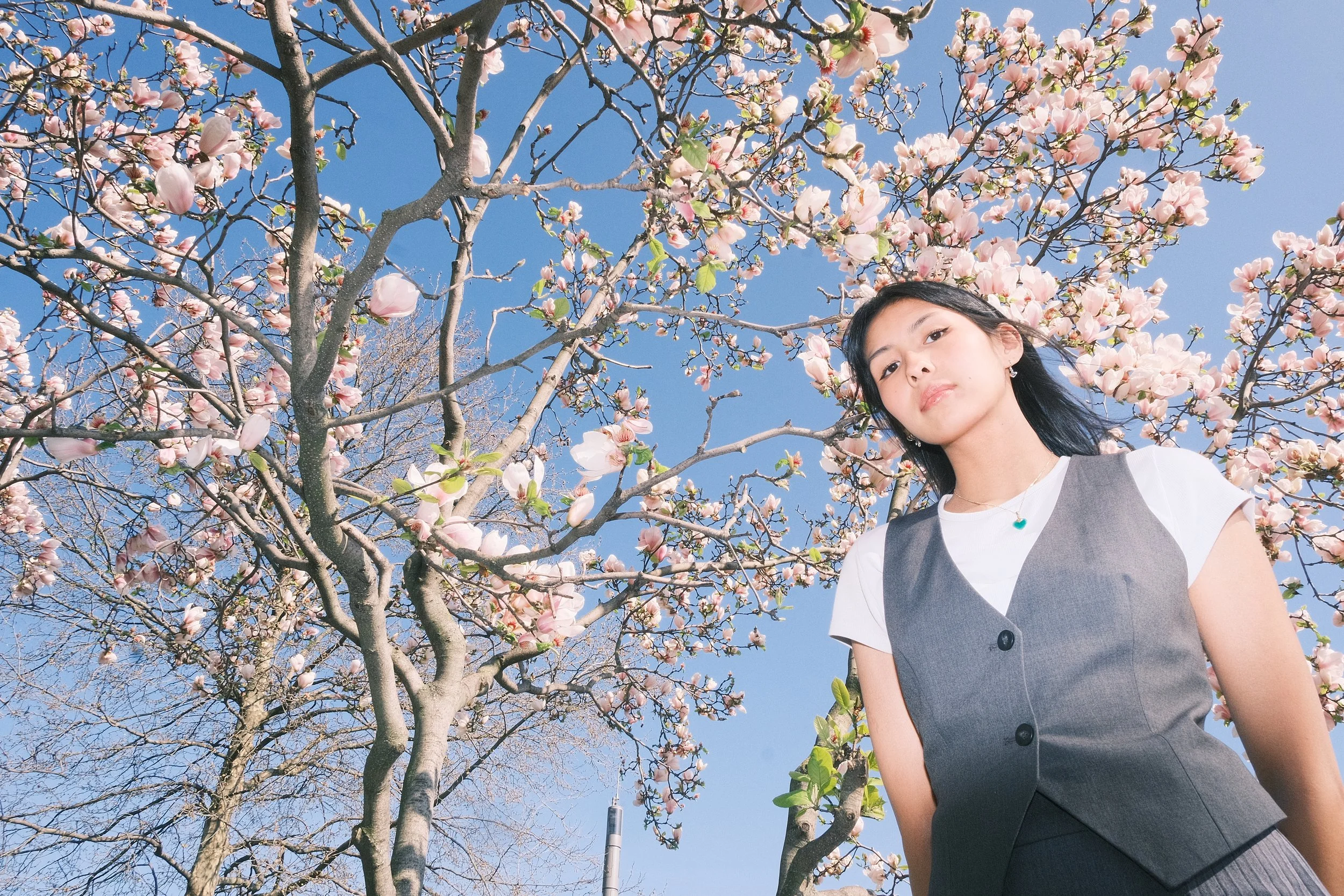 Where Spring Begin to Breathe