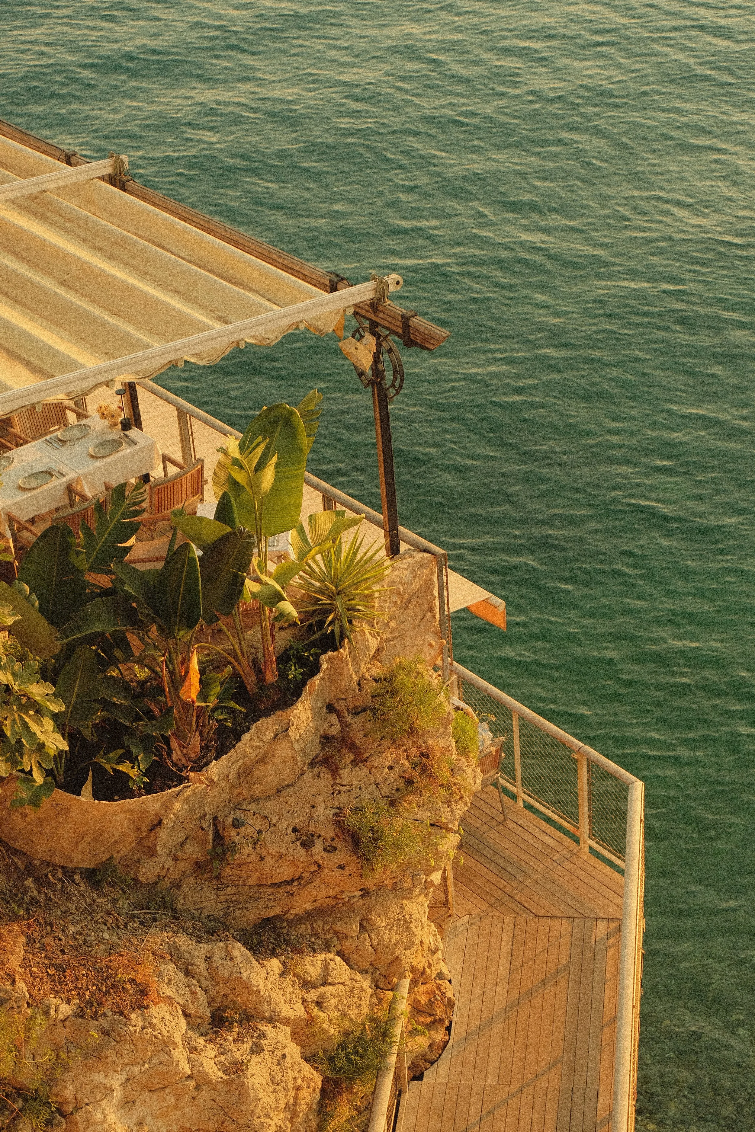Terrasse avec des plantes tropicales et des tables au bord de la mer