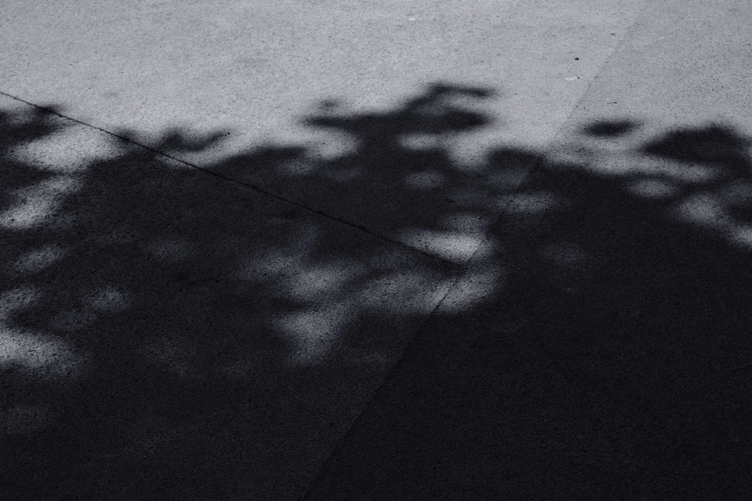 Ombres d'arbres projetées sur une surface de sol.
