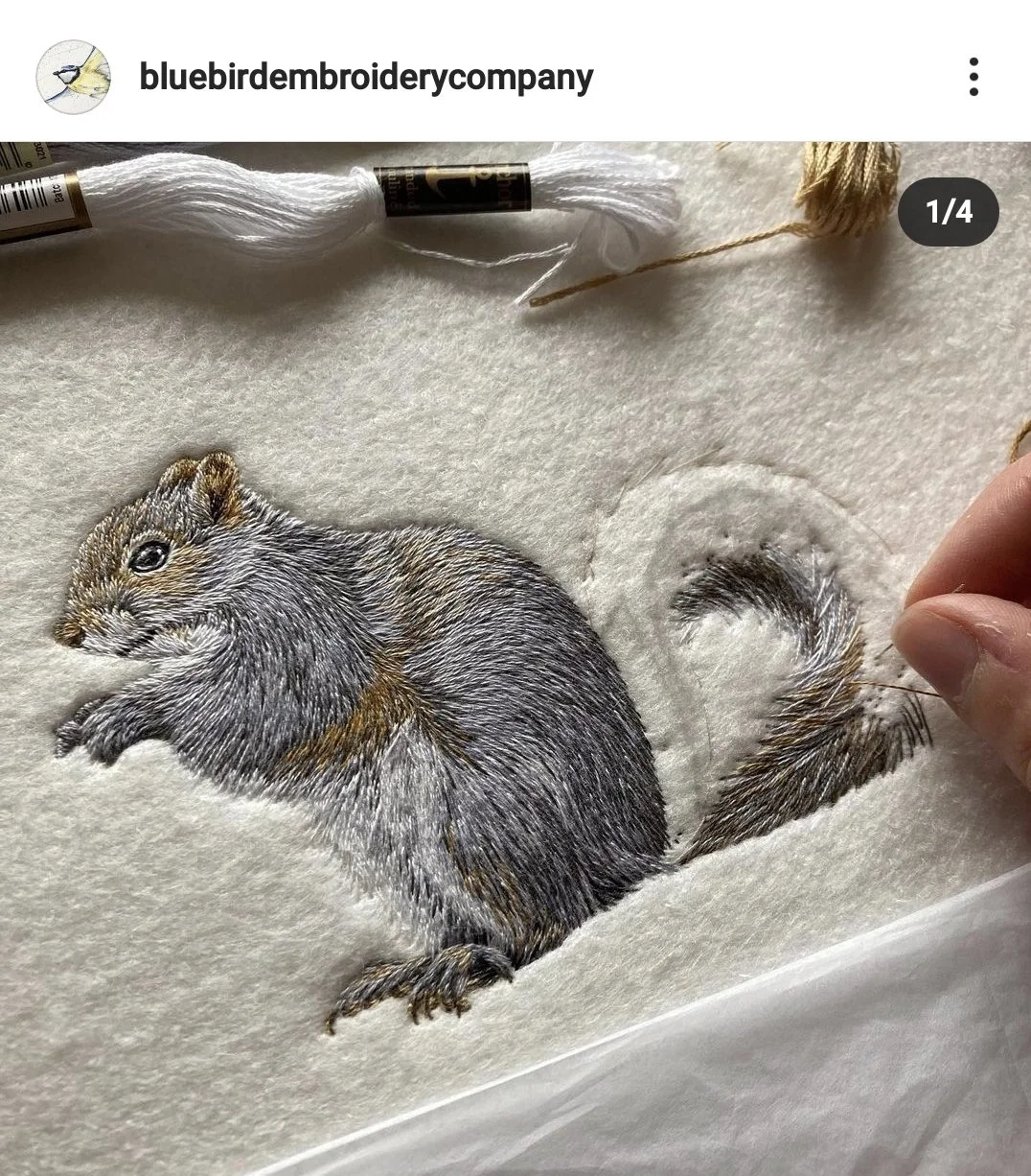 Screenshot_20210924-113536_Instagram.jpg