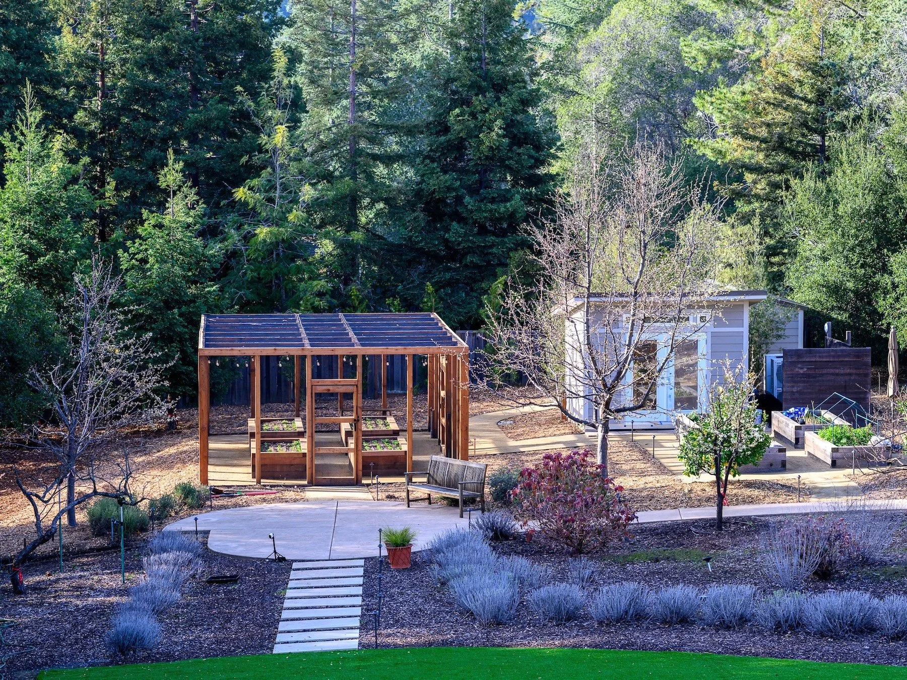 Wooded backyard landscape with a wooden garden pergola, storage sheds, and stone pathway surrounded by tall pine trees - Orchard Keepers