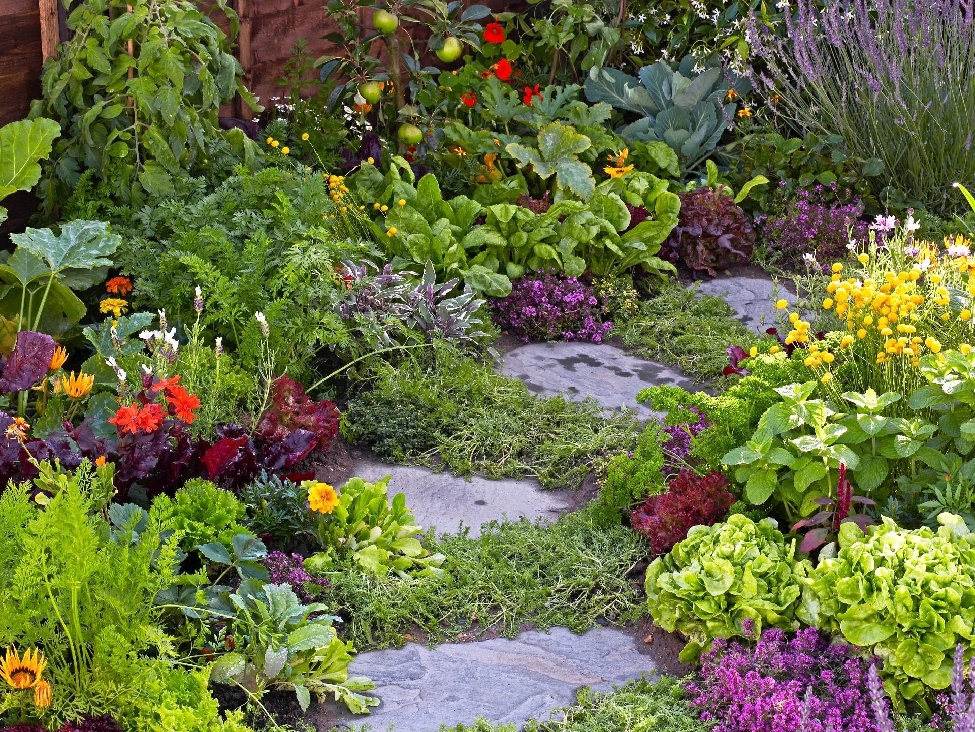 A lush garden with a variety of colorful flowers and green plants, including red, yellow, purple, and orange blossoms, and a stone pathway winding through the greenery.