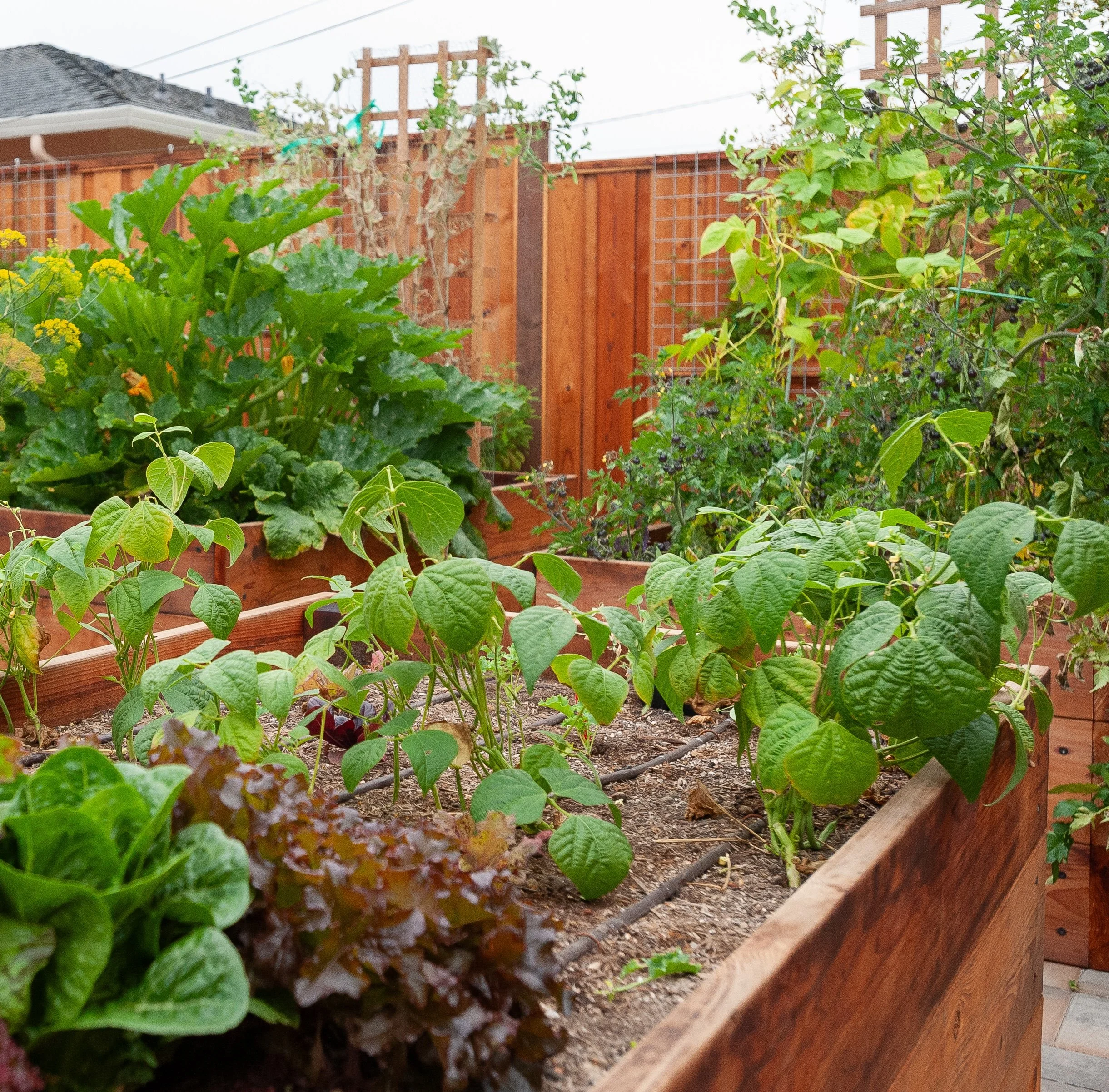 Irrigation System Management- Water that follows the seasons (option 1).jpg