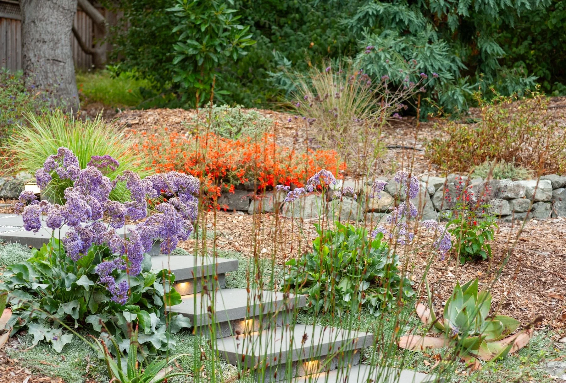 A landscaped garden with purple, orange, and green plants, stone steps, and a wooden fence in the background.