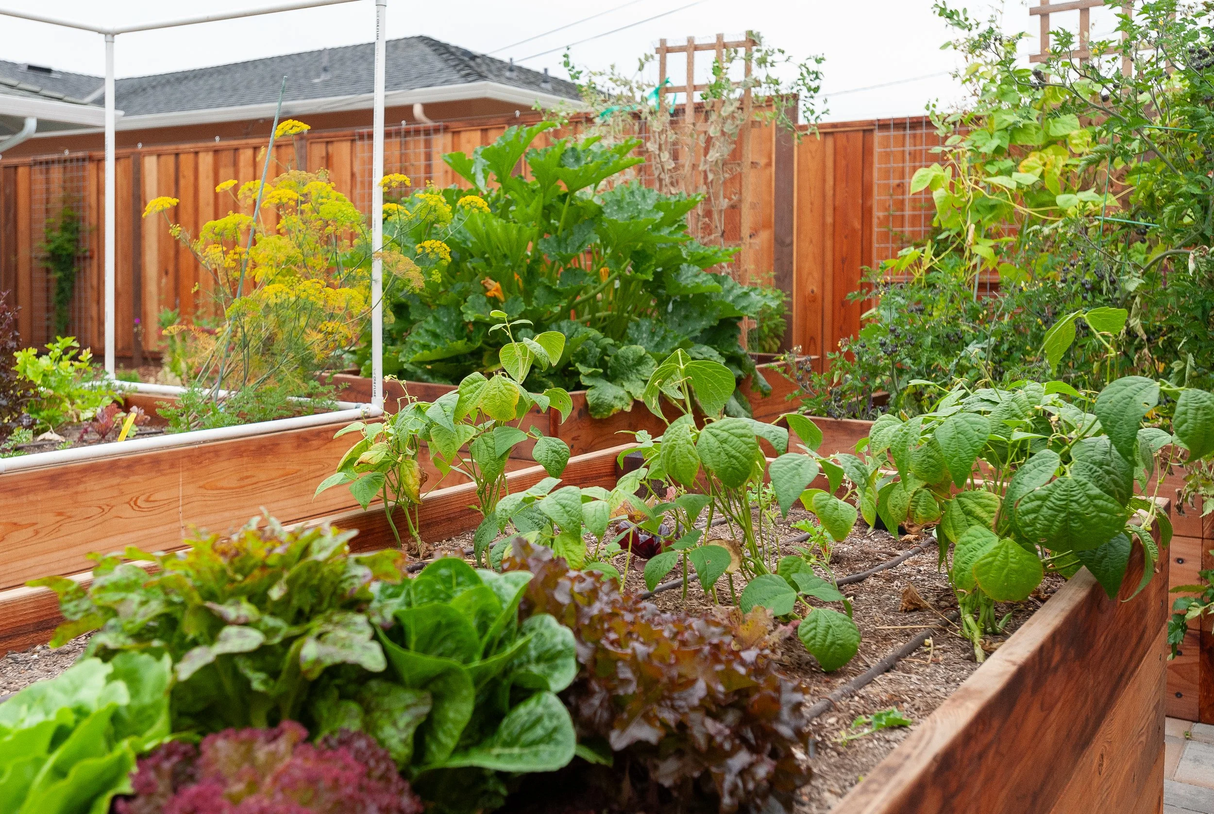 6 Ways an Edible Landscape Installation Enhances Your Garden