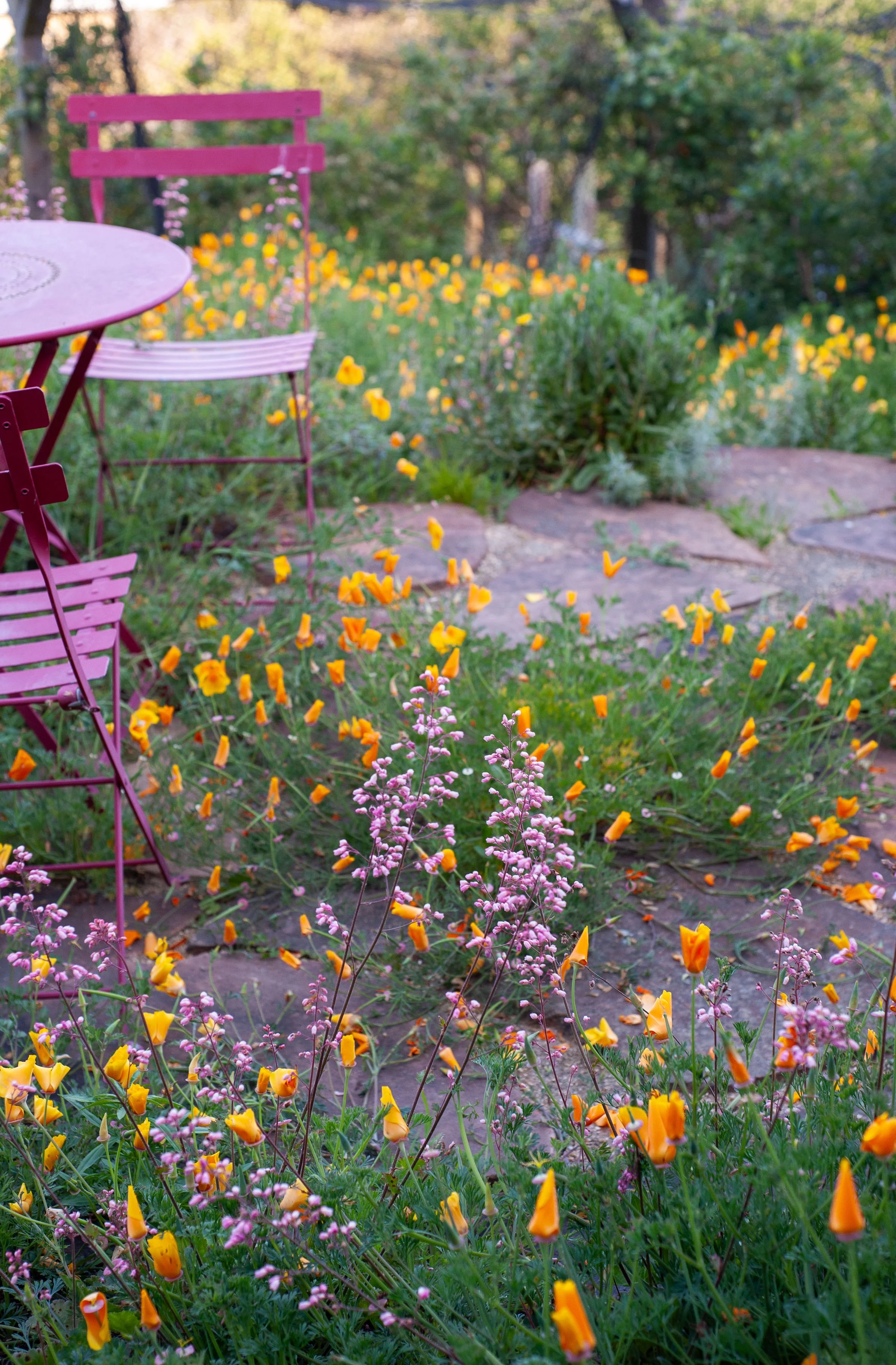 garden patio company