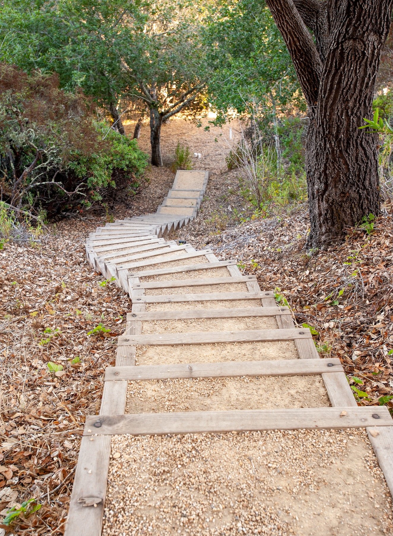Wooden and gravel staircase pathway winding through an oak woodland trail -- Orchard Keepers