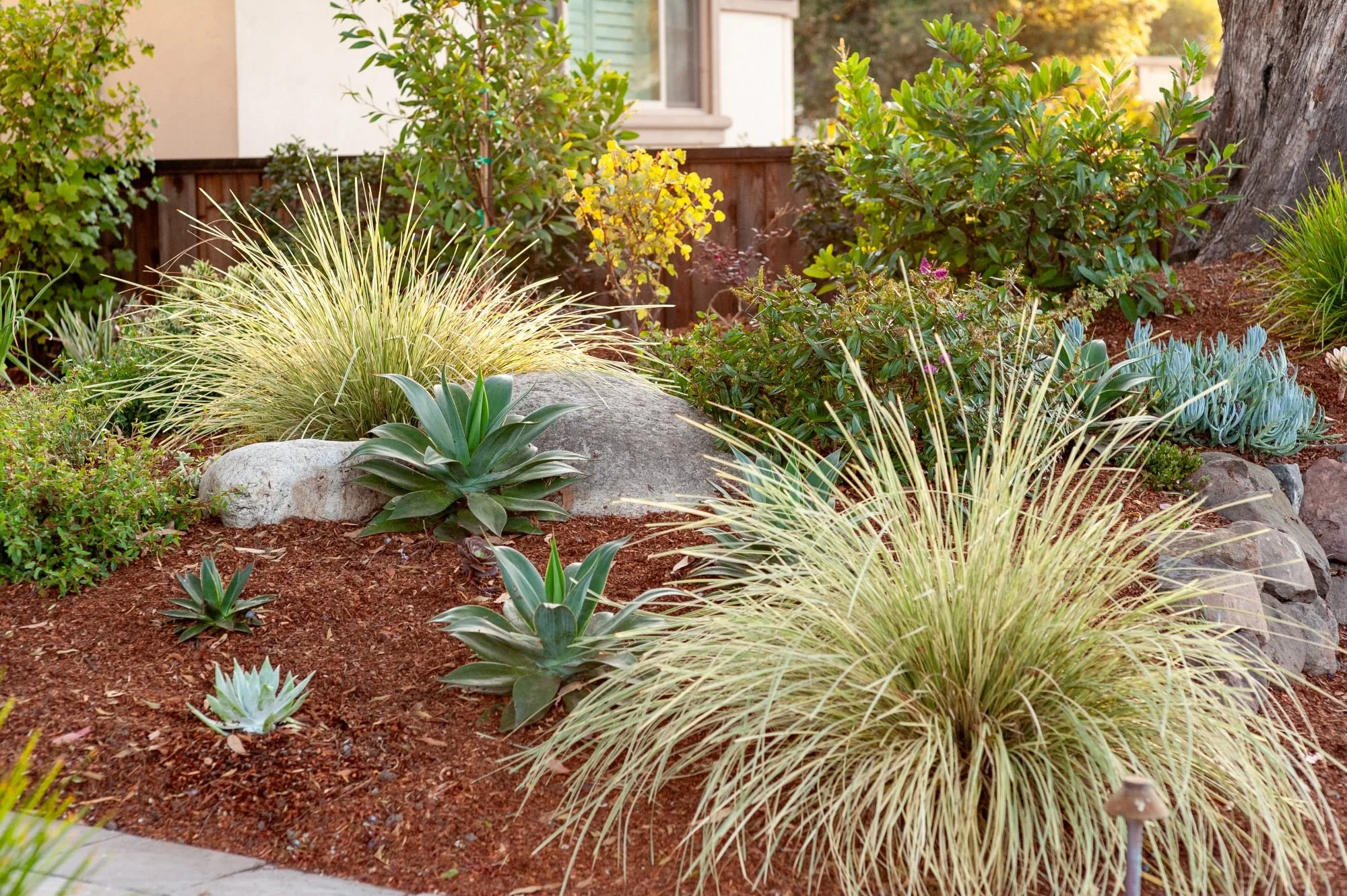 Ornamental grasses and agave set among boulders in a decomposed granite bed — Orchard Keepers