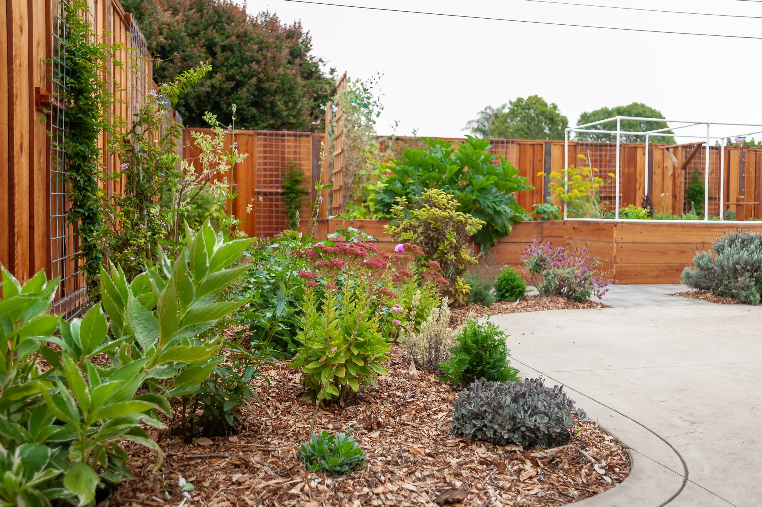 Your Yard Could Be Growing Something: The Case for an Edible Landscape