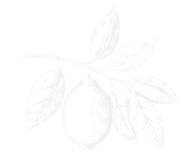 Illustration of a lemon hanging from a branch with several leaves against a black background.