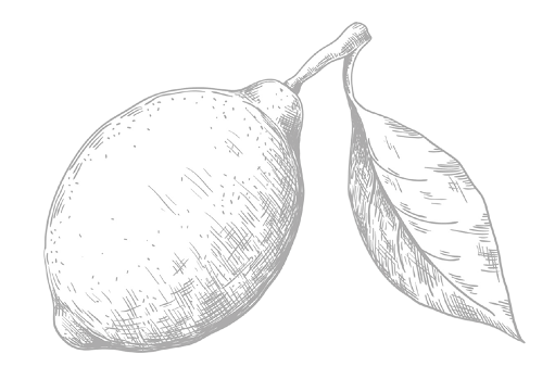 Black and white illustration of a lemon with a leaf attached.