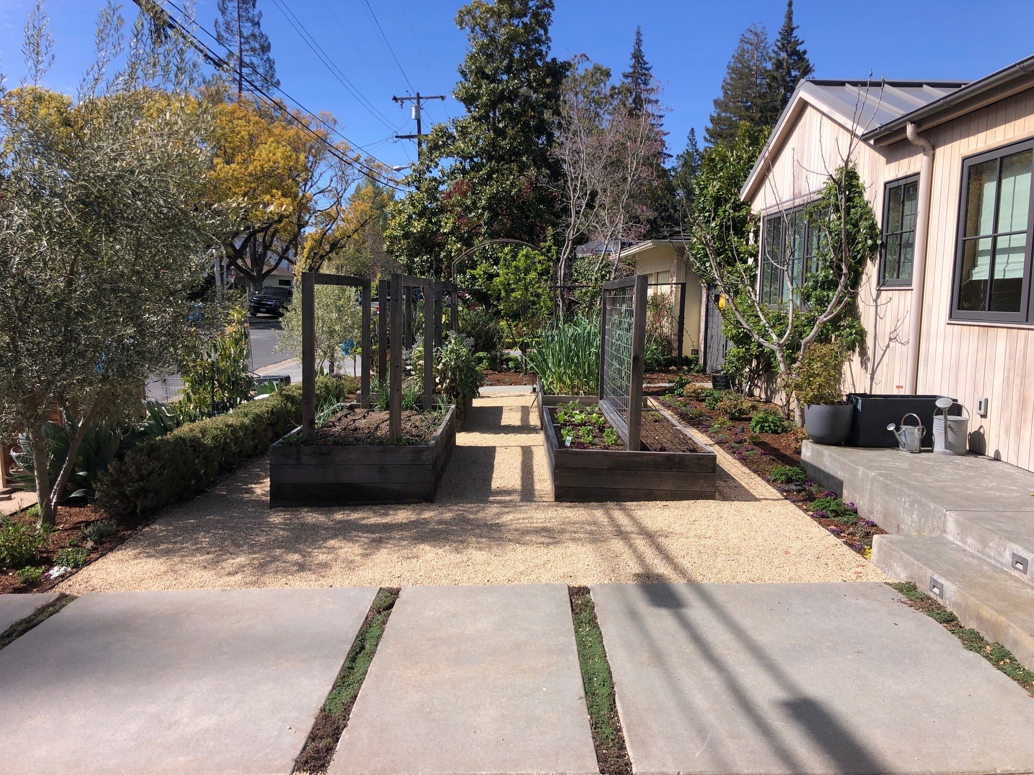 Front yard raised garden beds with wire trellises alongside a concrete paver walkway and modern home exterior -- Orchard Keepers