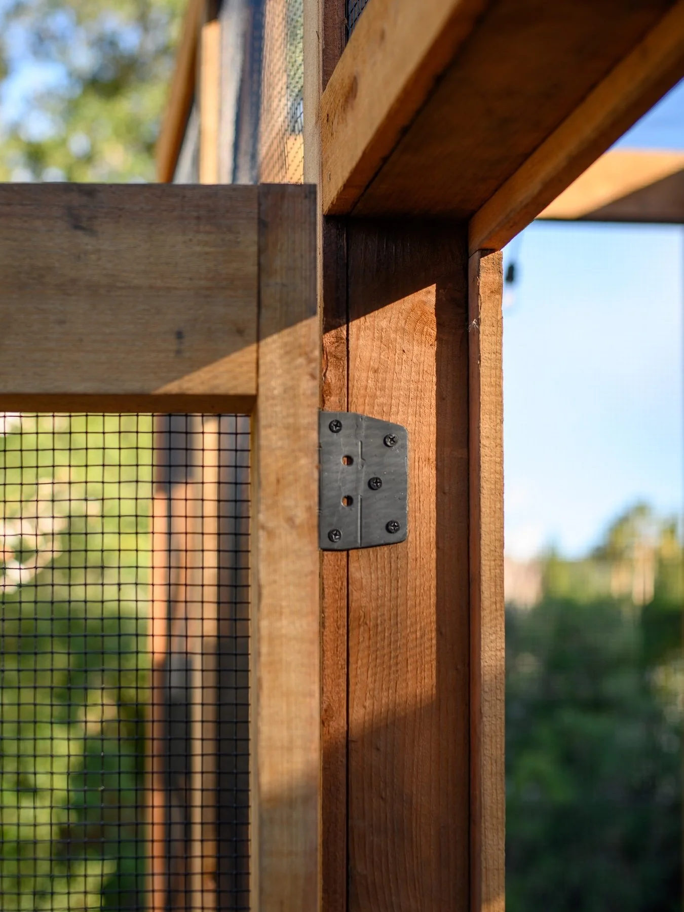 Close-up of a wooden corner post and wire mesh screening on a garden enclosure - Orchard Keepers
