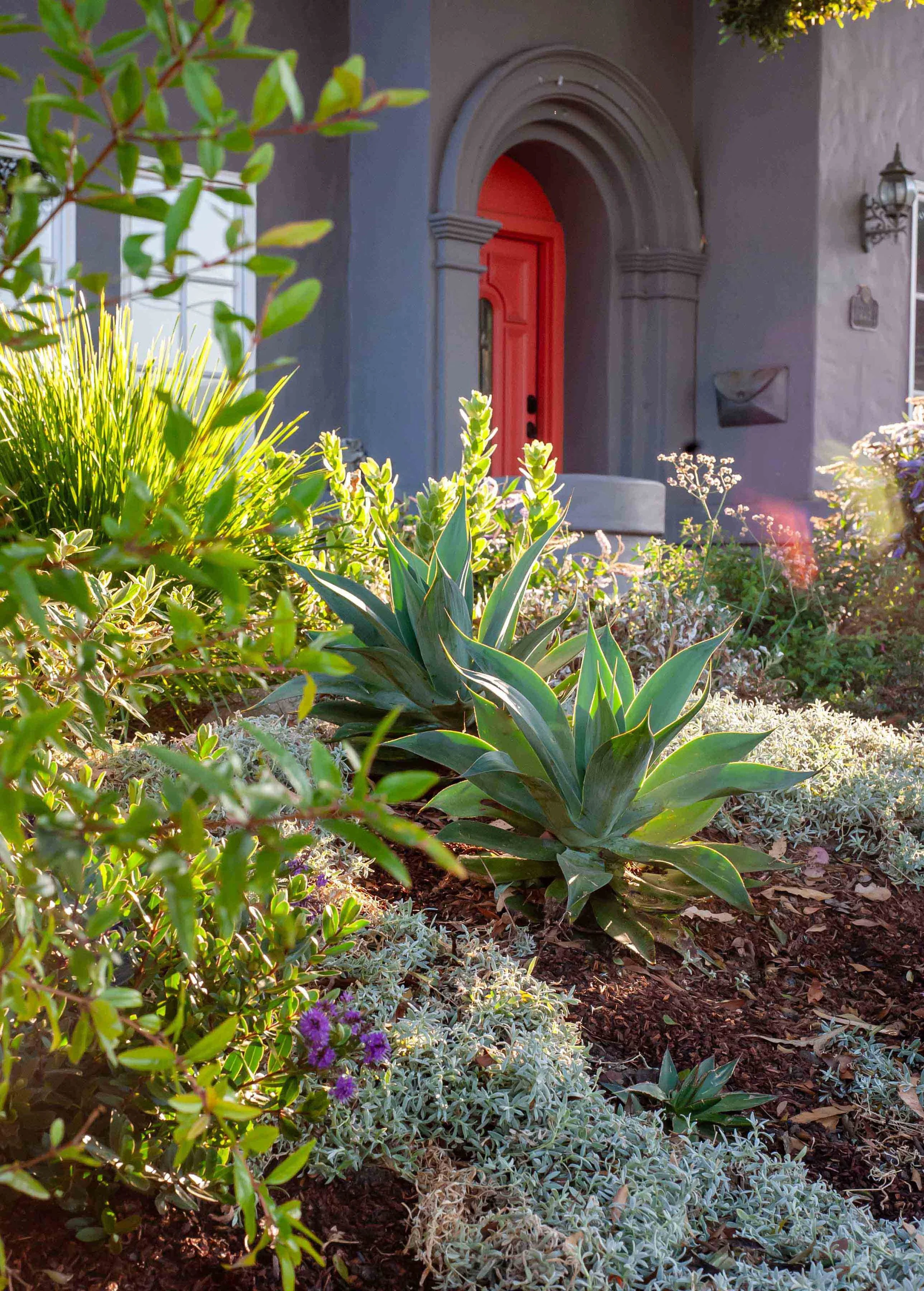 Trusted edible landscape maintenance company serving Los Altos Hills, CA