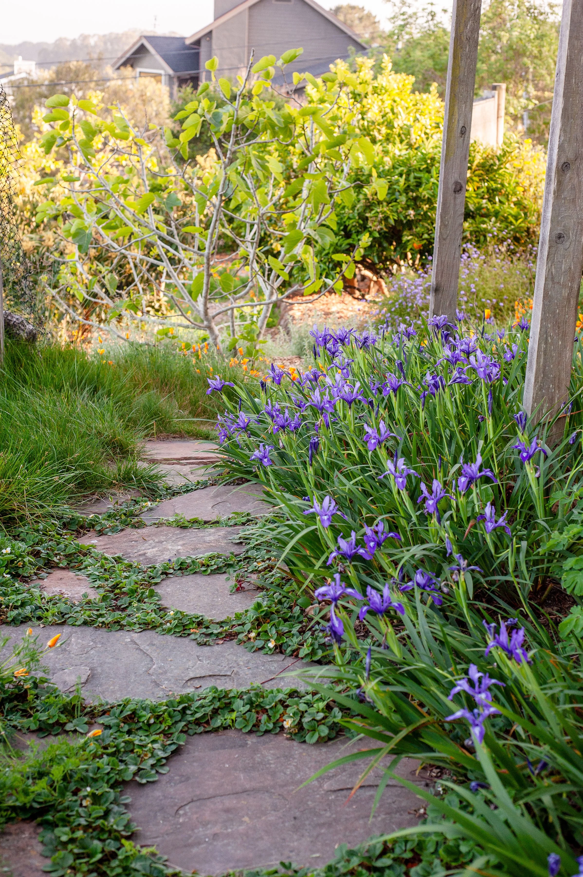 Routing Comes First for a Flagstone Walkway Contractor in Santa Cruz, CA