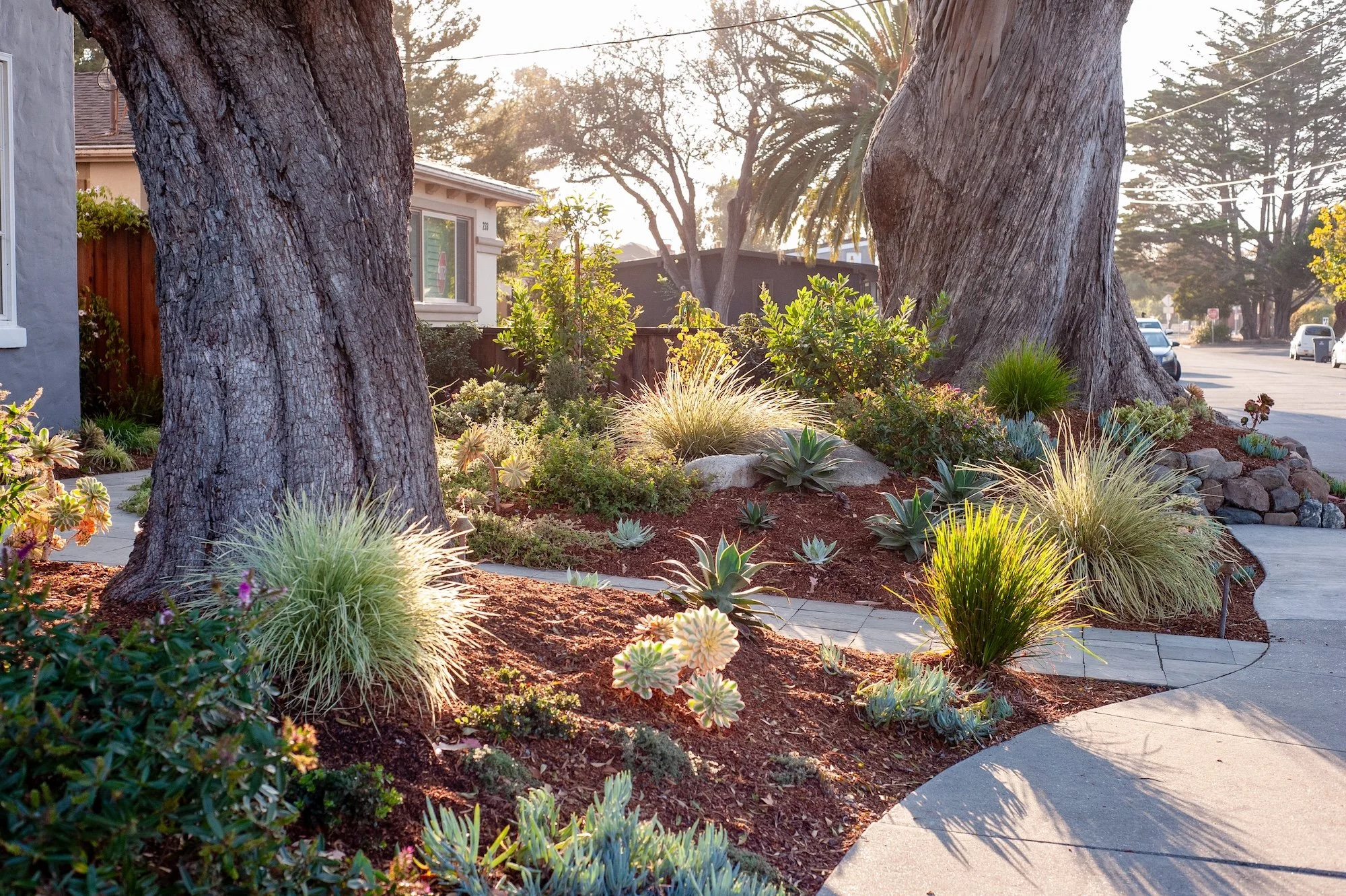 Front yard landscape with drought-tolerant succulents, natural stone retaining walls, mulch planting beds, and a gray home with a bright red front door -- Orchard Keepers