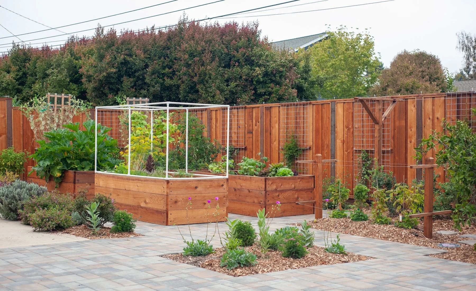 Backyard vegetable garden with wooden raised beds, a wire trellis cage, and paver patio surrounded by cedar fencing -- Orchard Keepers