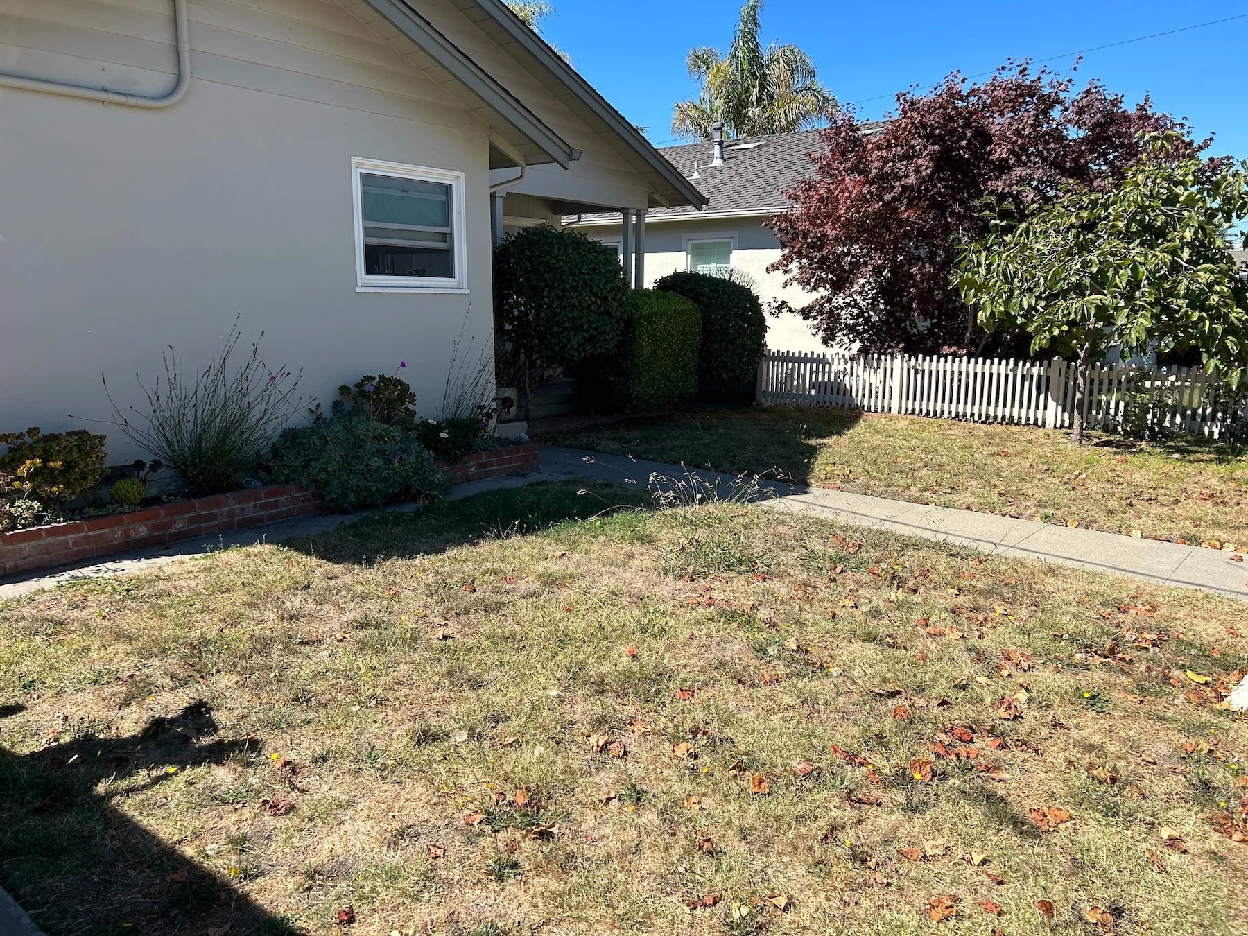Before photo of a front yard with dry patchy lawn ready for landscape renovation