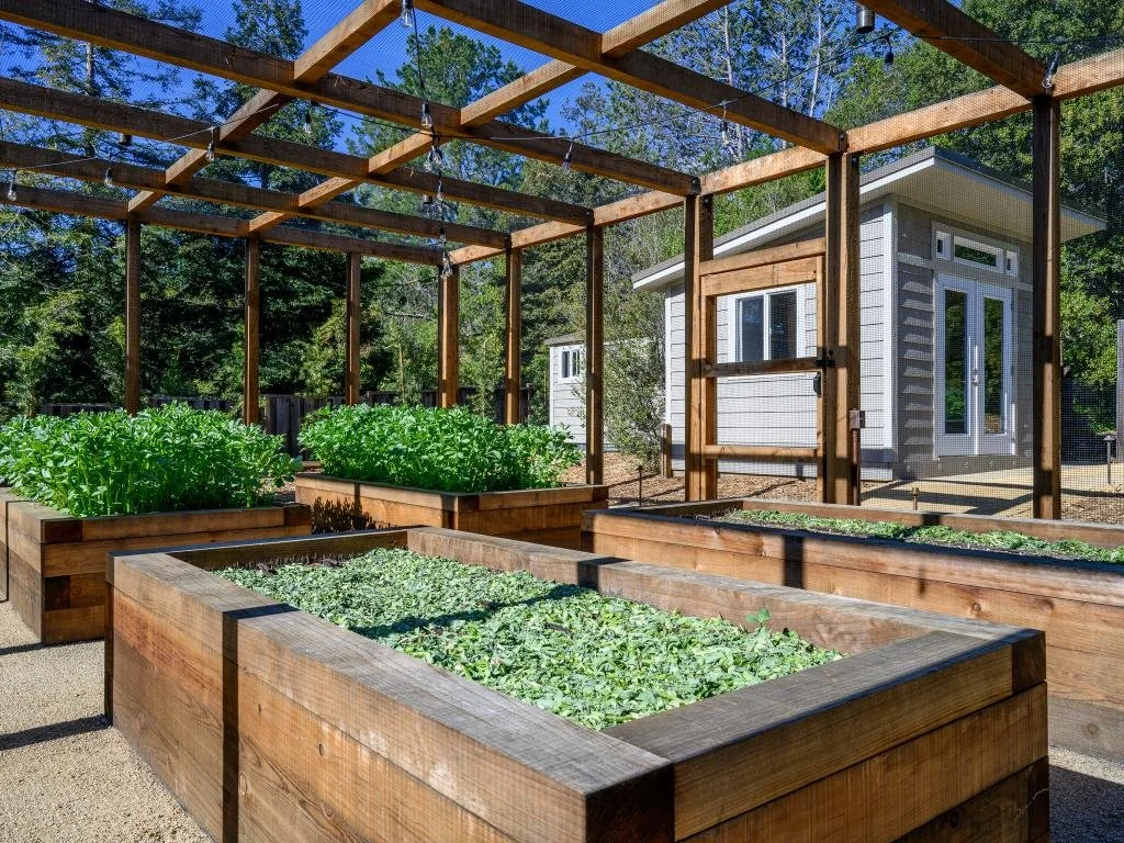 Vegetable garden services and kitchen garden care in Saratoga, CA