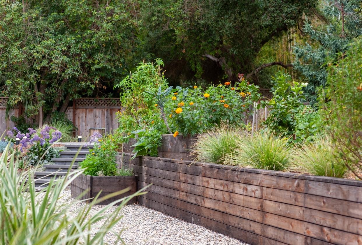 Seasonal home orchard care in Saratoga, CA