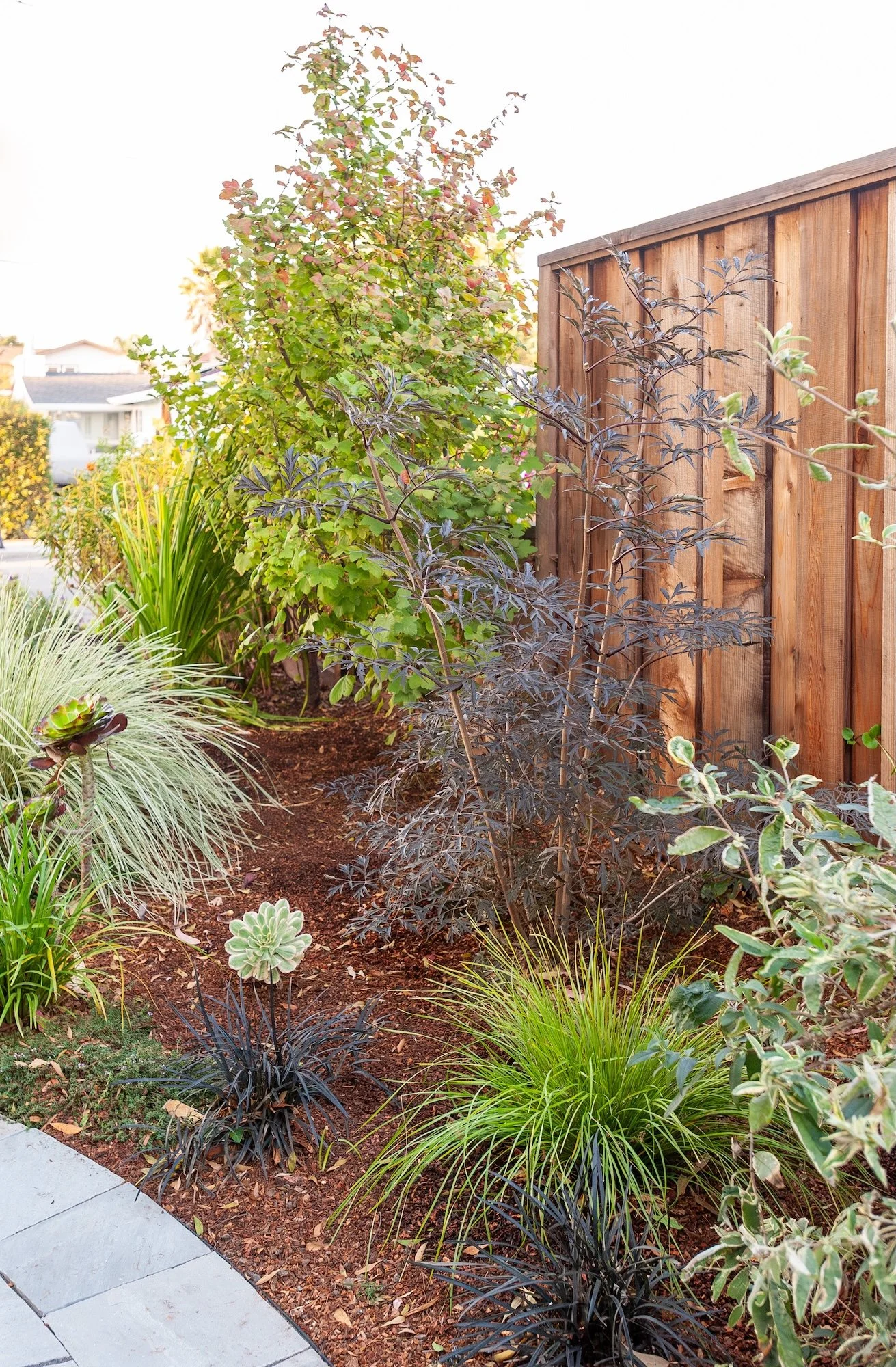 Succulents, ornamental grasses, mulch planting beds, wooden fence, and paver walkway -- Orchard Keepers