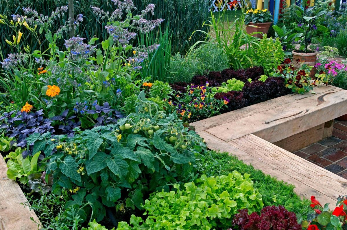 A vibrant garden bed filled with various flowering plants and vegetables, bordered by wooden planks and brick pavement.