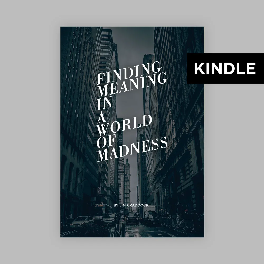Kindle - Finding Meaning in a World of Madness