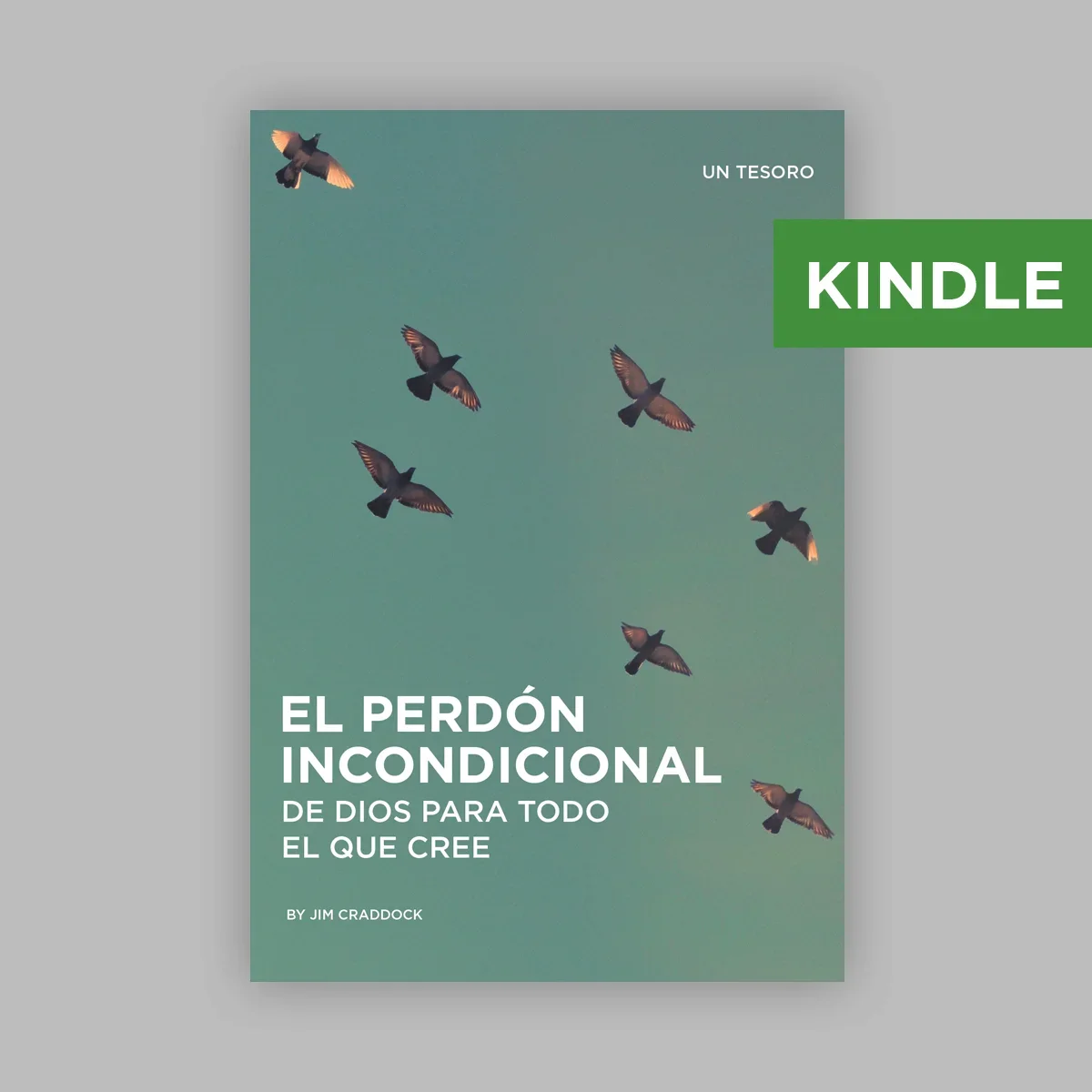 Kindle El Perdón Incondicional