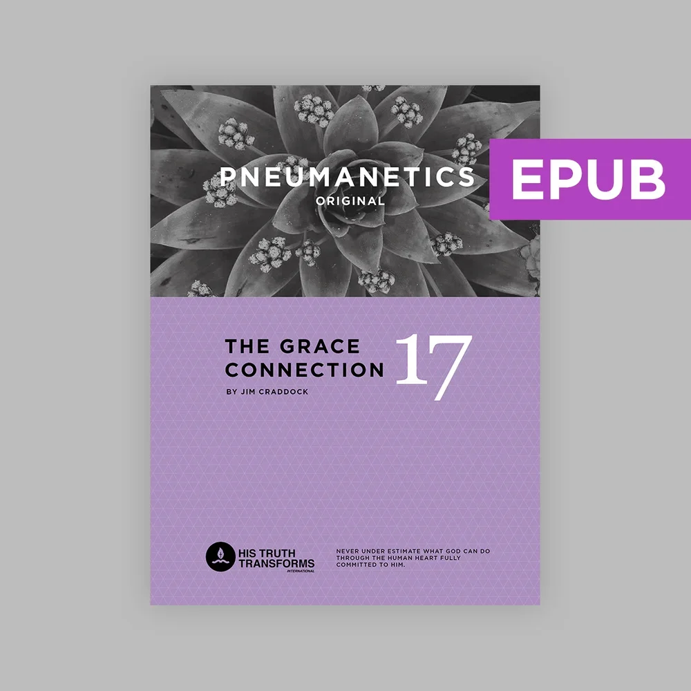 E-Book Pneumanetics Original Book 17