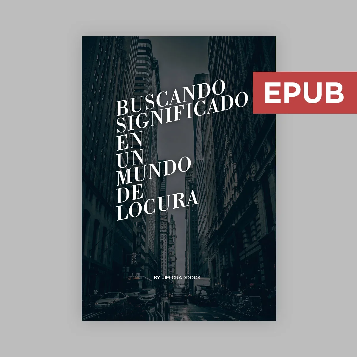 E-Book  USCANDO SIGNIFICADO EN UN MUNDO DE LOCURA