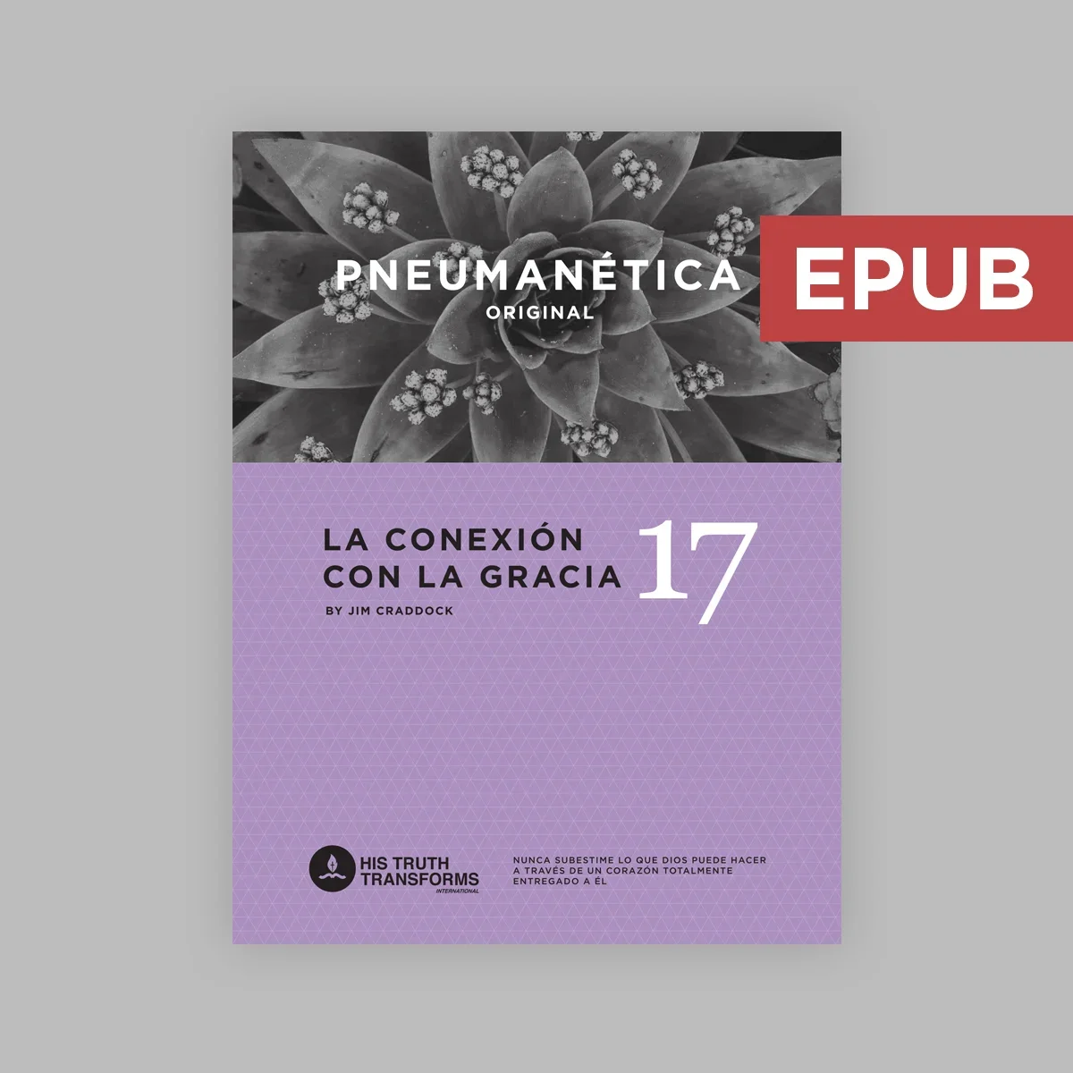 E-Book Pneumanética Original Libro 17