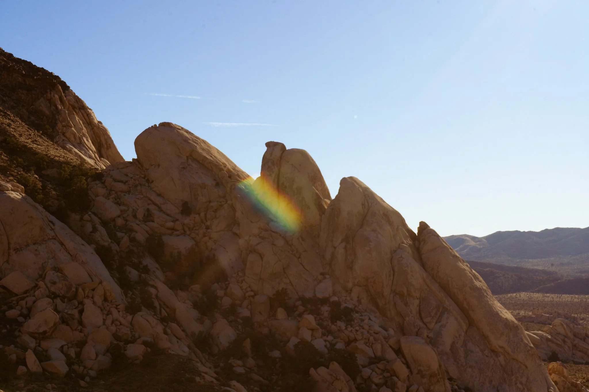 Joshua Tree, 2025