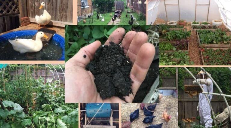 dia-alumni-Permaculture-768x426.jpg