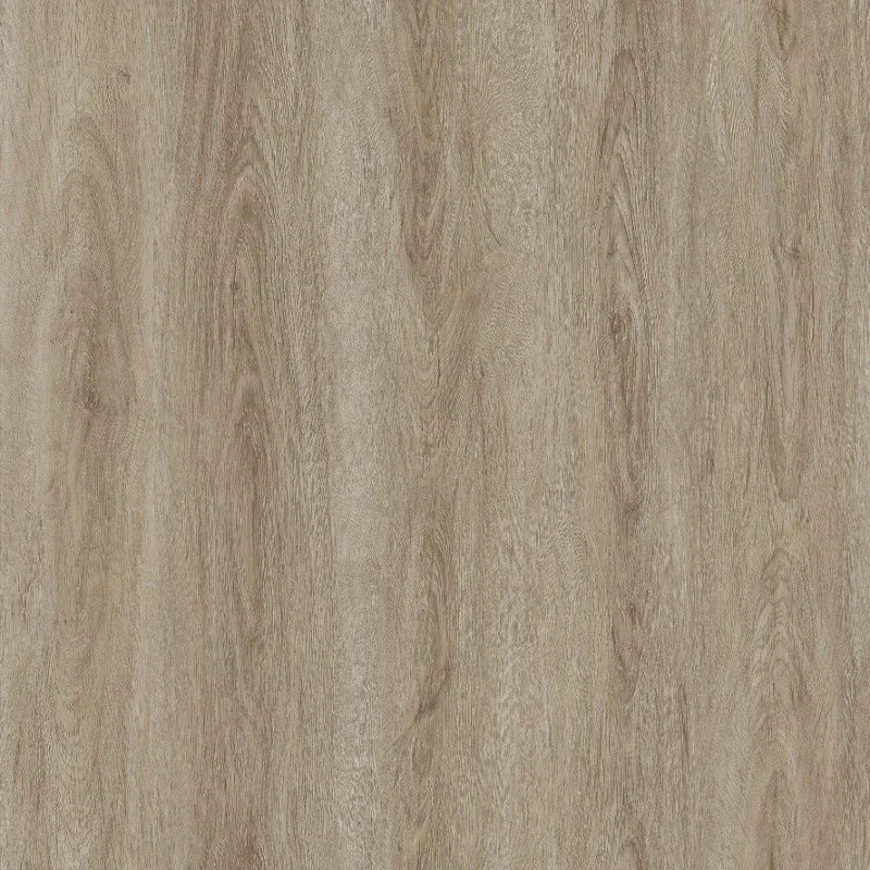 Oyster Shell 1.jpg