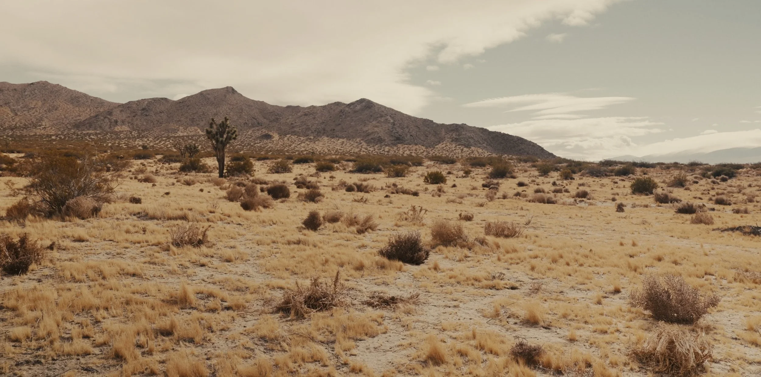 "The Baddest" by Téo Amo | Official Music Video