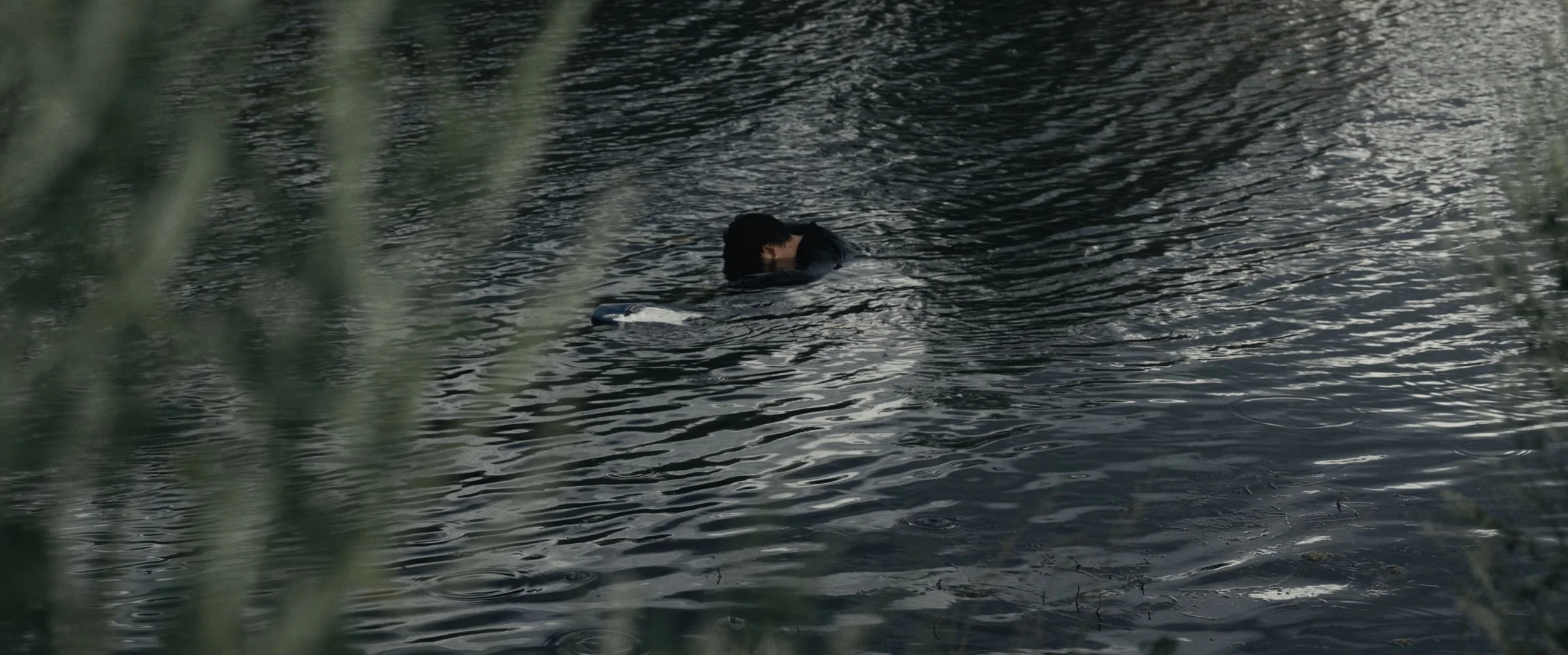 "Gentle Giant" by Téo Amo | Official Music Video