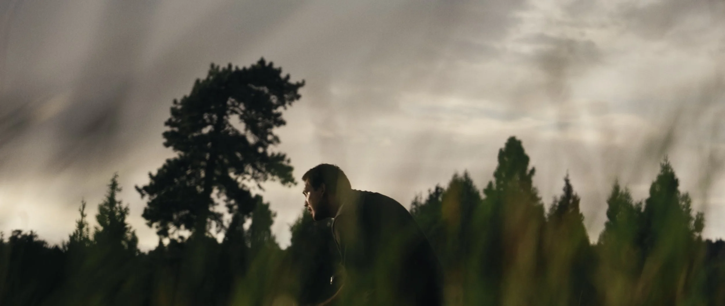 "Gentle Giant" by Téo Amo | Official Music Video