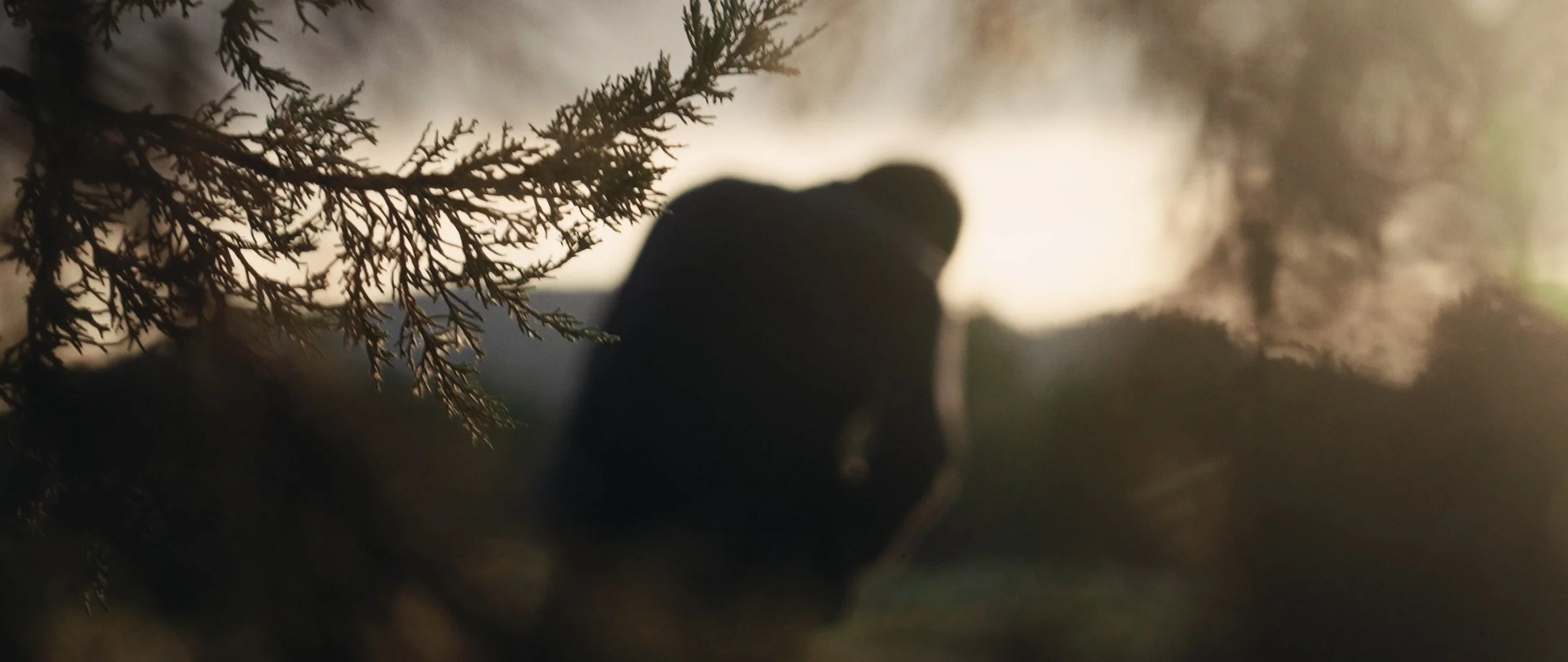 "Gentle Giant" by Téo Amo | Official Music Video