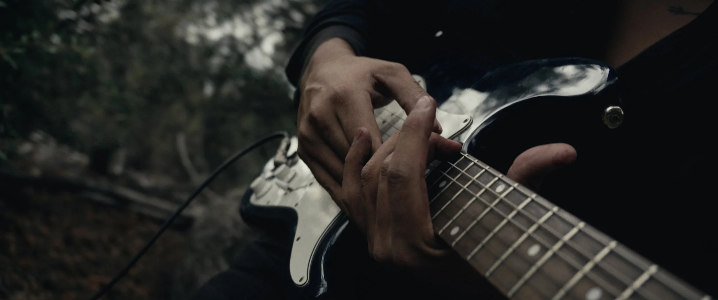 "Gentle Giant" by Téo Amo | Official Music Video