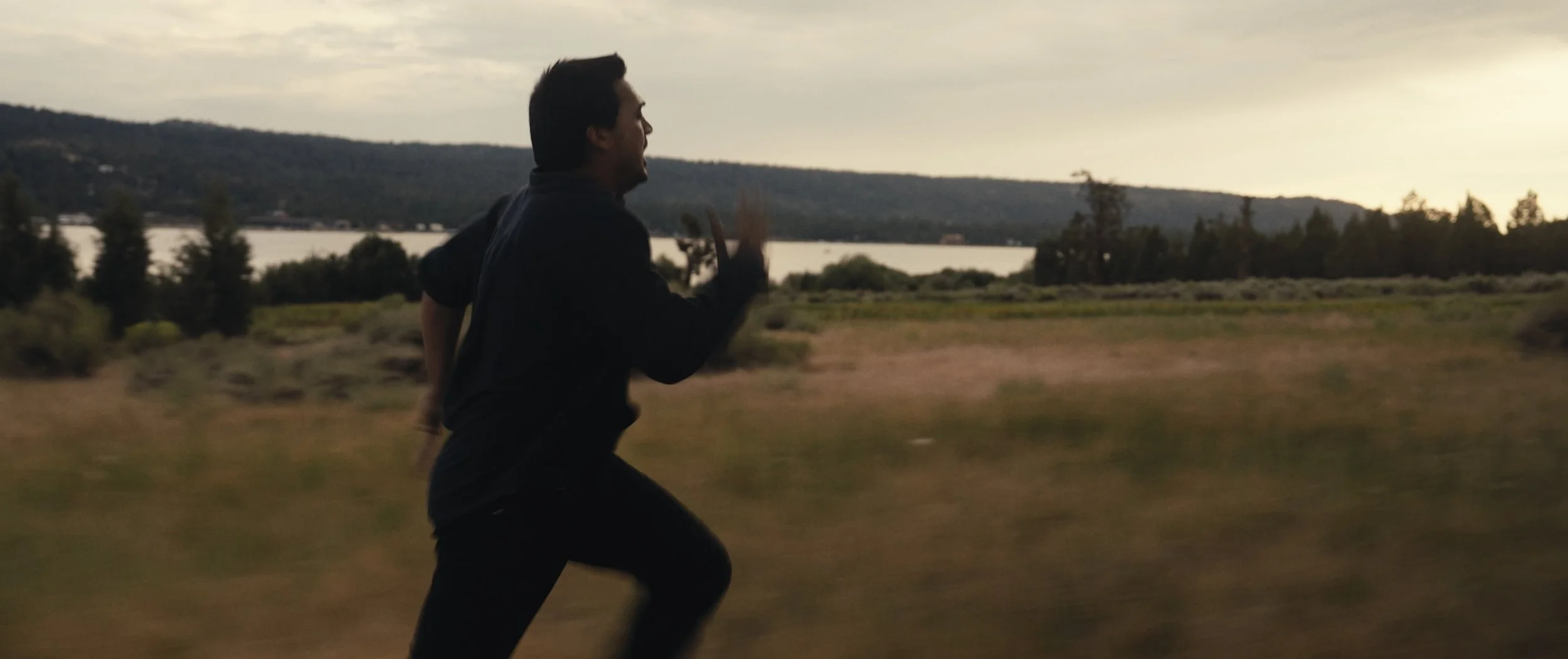 "Gentle Giant" by Téo Amo | Official Music Video