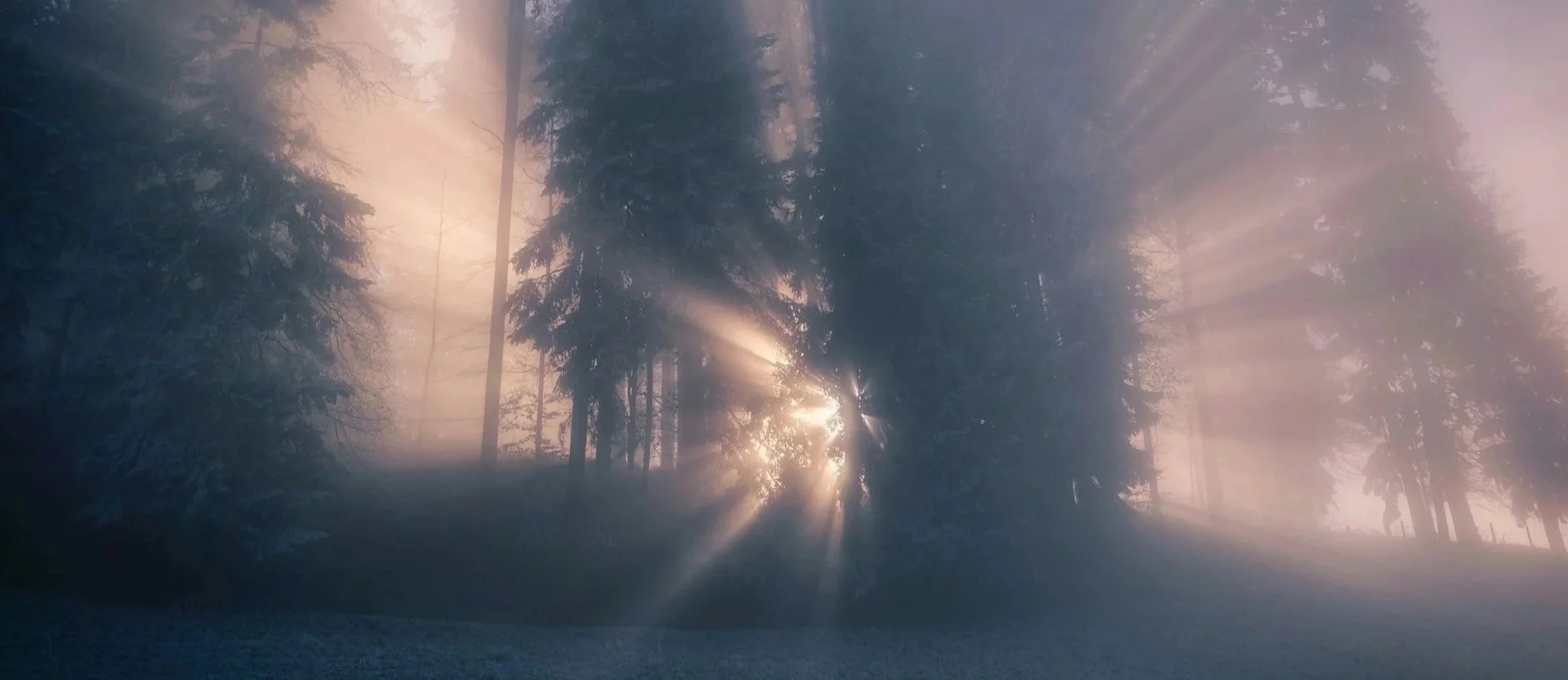 Sunshine Through The Brain Fog