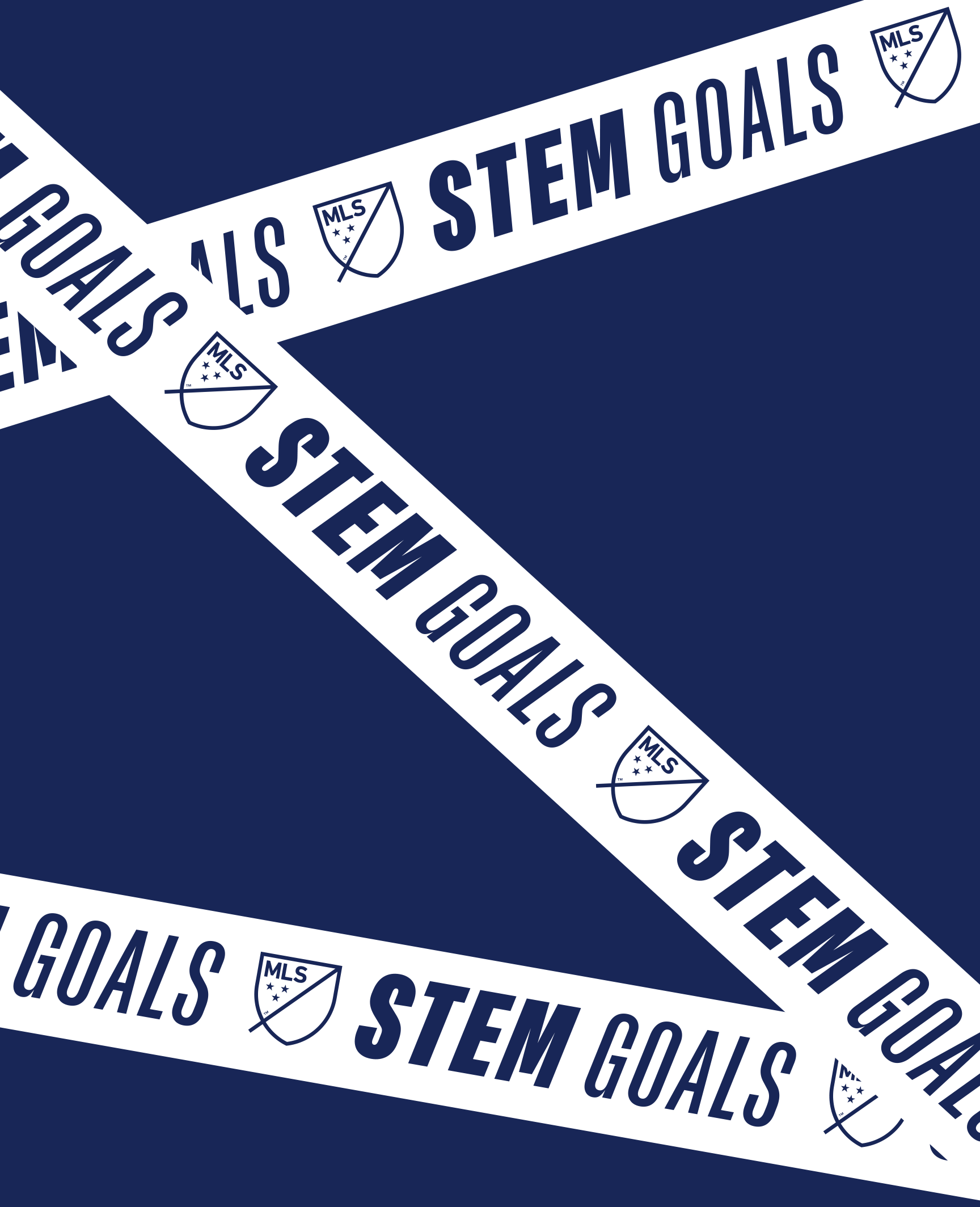 MLS_13.png