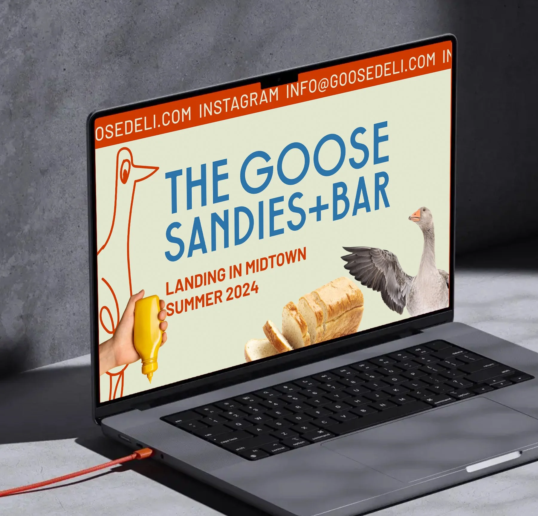 Goose_Web1jpg.jpg
