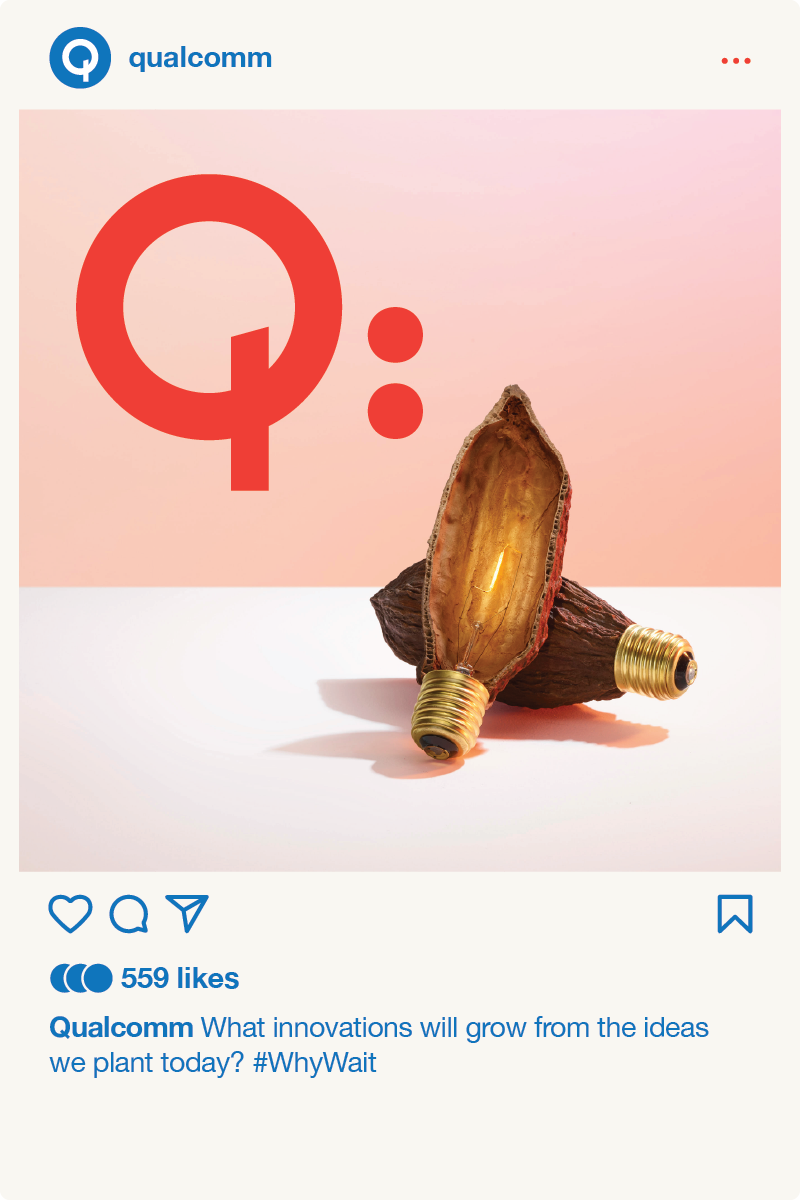 QC_seed.png