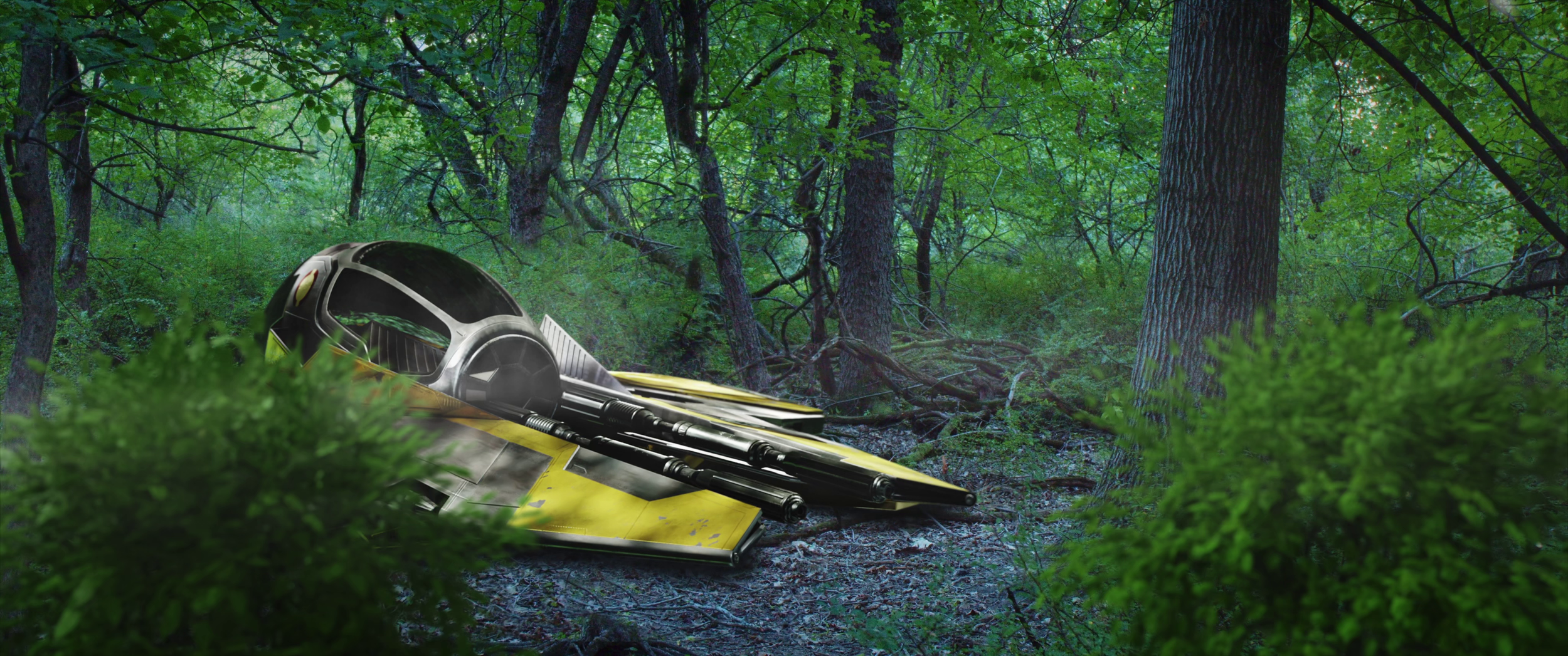 vlcsnap-2026-06-21-23h54m57s344.png