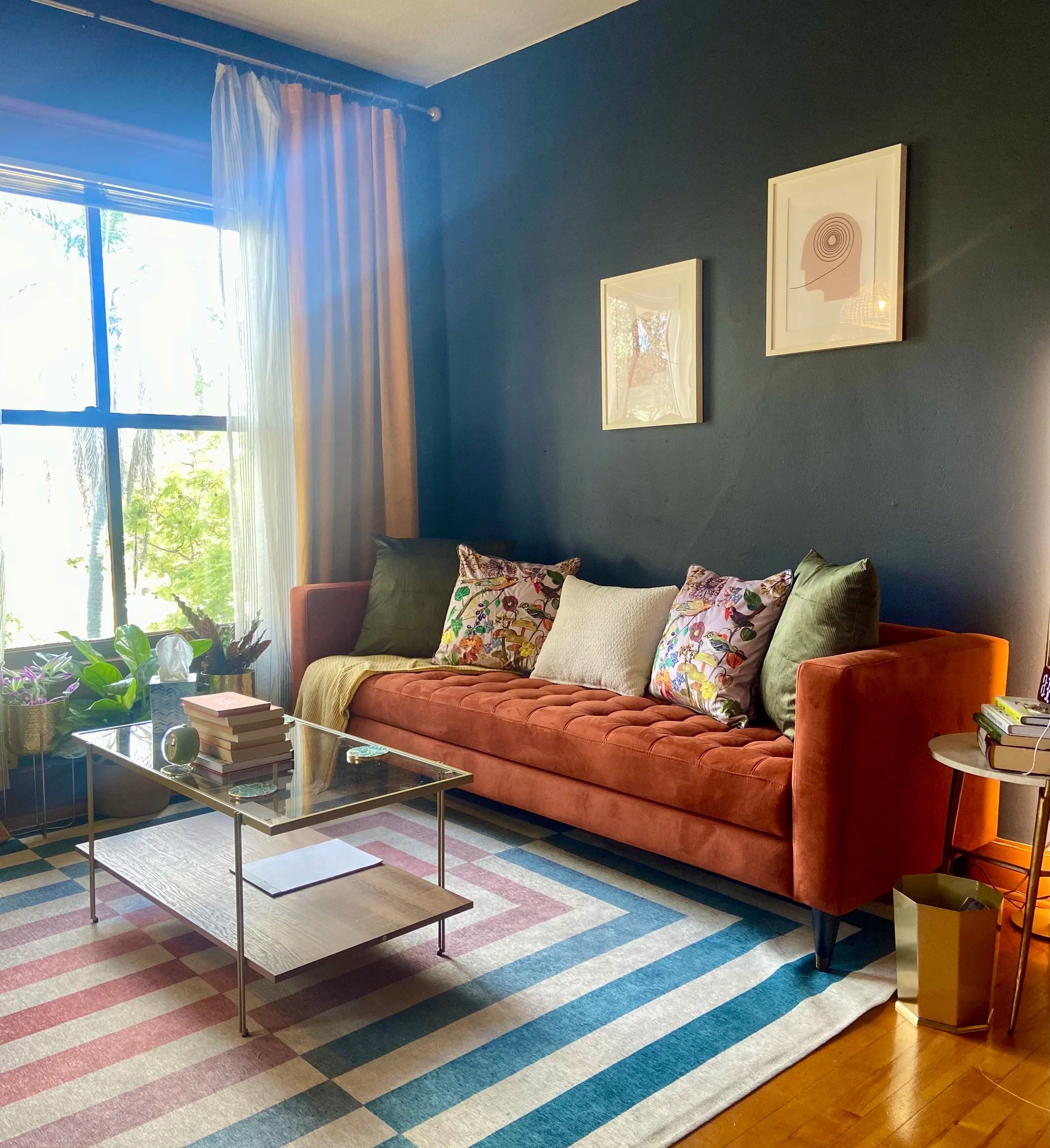 cozy, office, comfortable, therapy office, plants