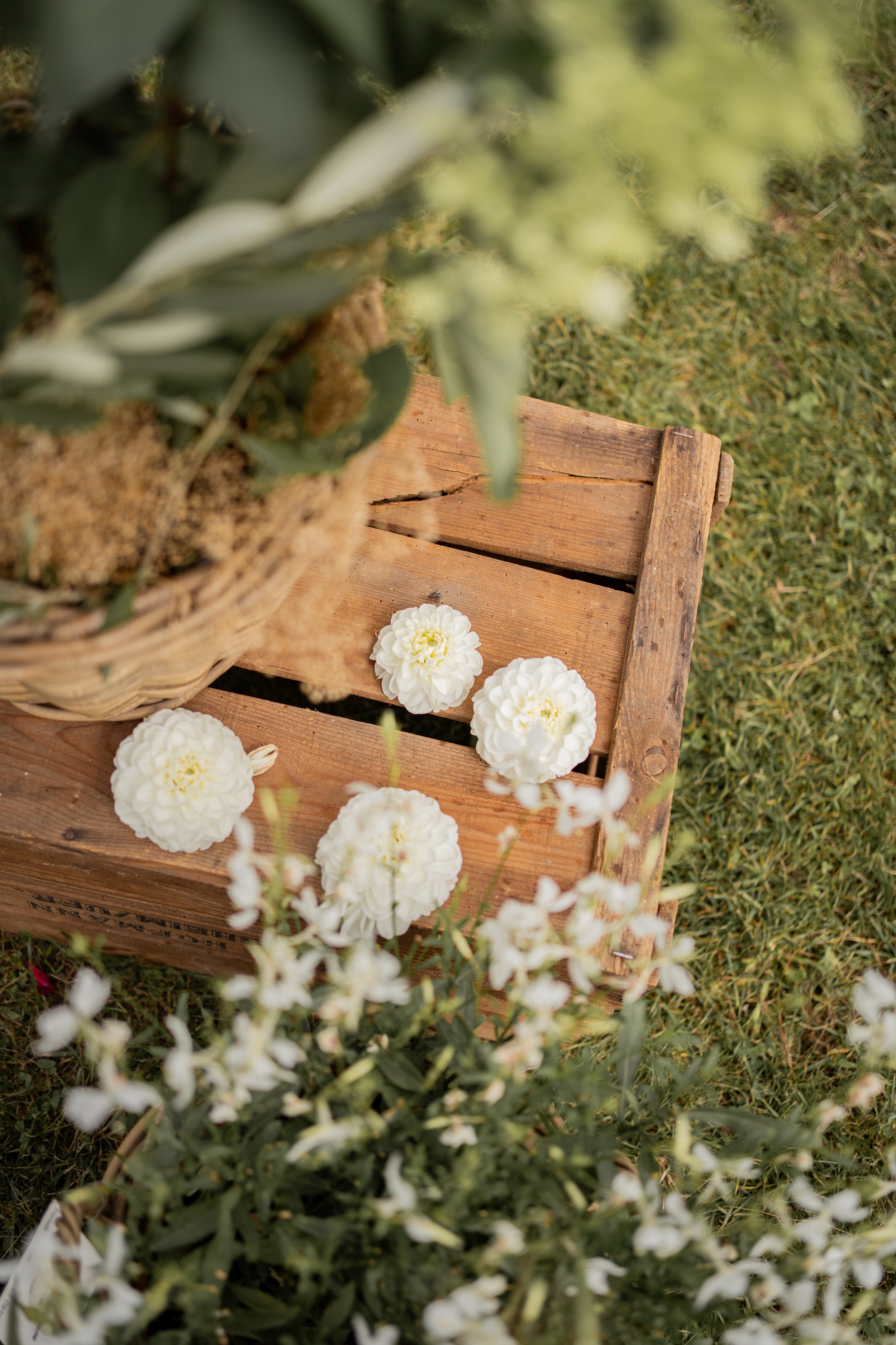 Weiße Blumen liegen auf einem Holztisch im Freien, im Vordergrund sind Gräser und andere Pflanzen zu sehen, im Hintergrund ist ein Gartensitzplatz.
