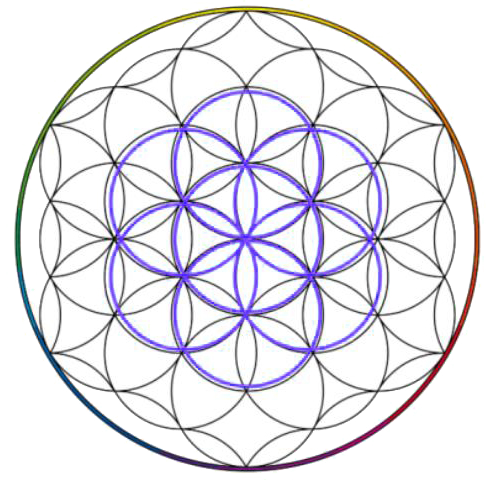 Evolve Tarot Companion